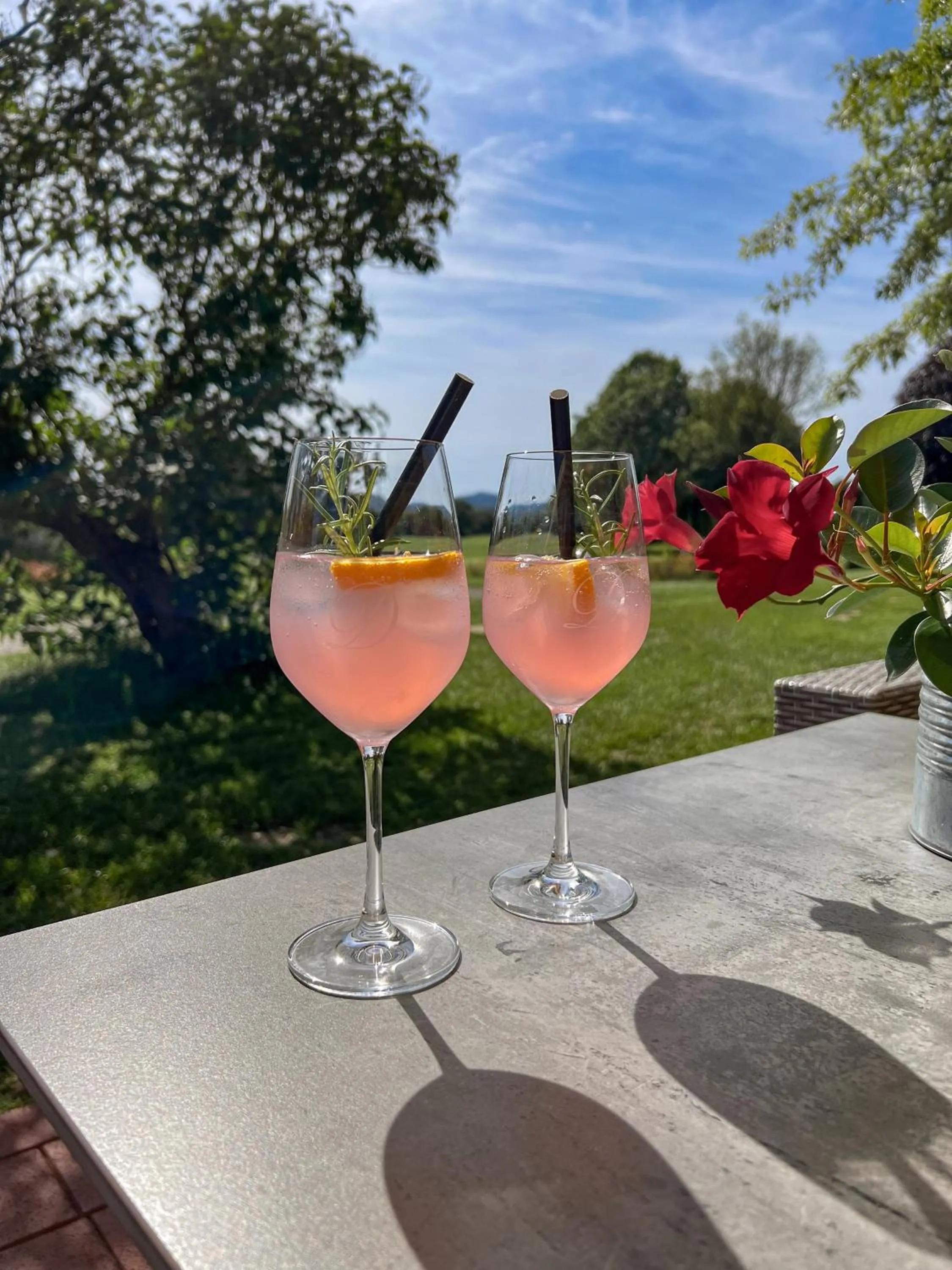 Golfcourse in Hotel Deimann