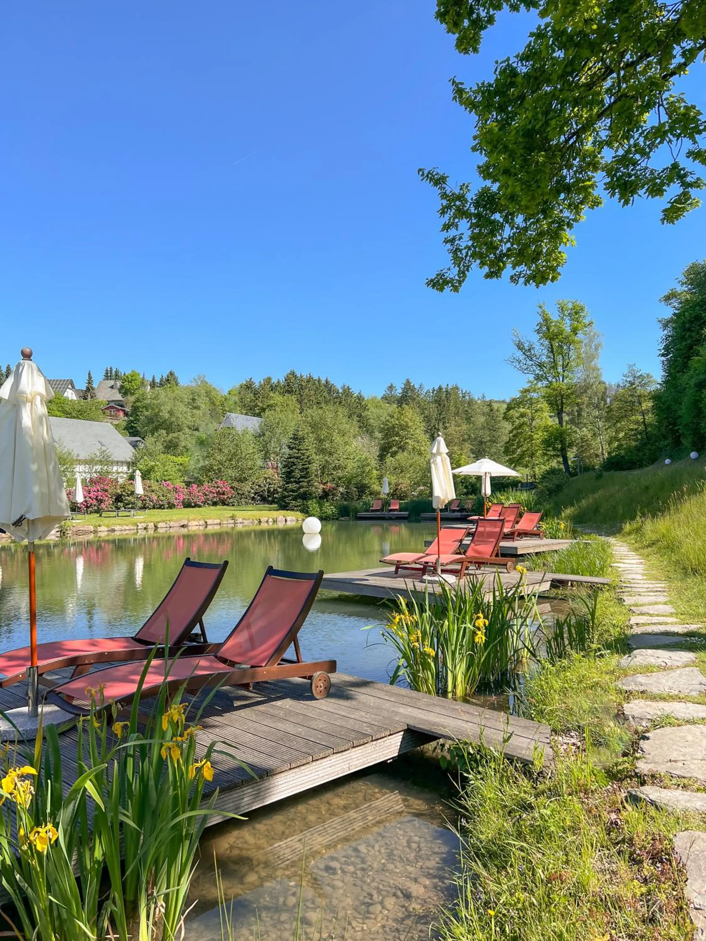 Garden in Hotel Deimann