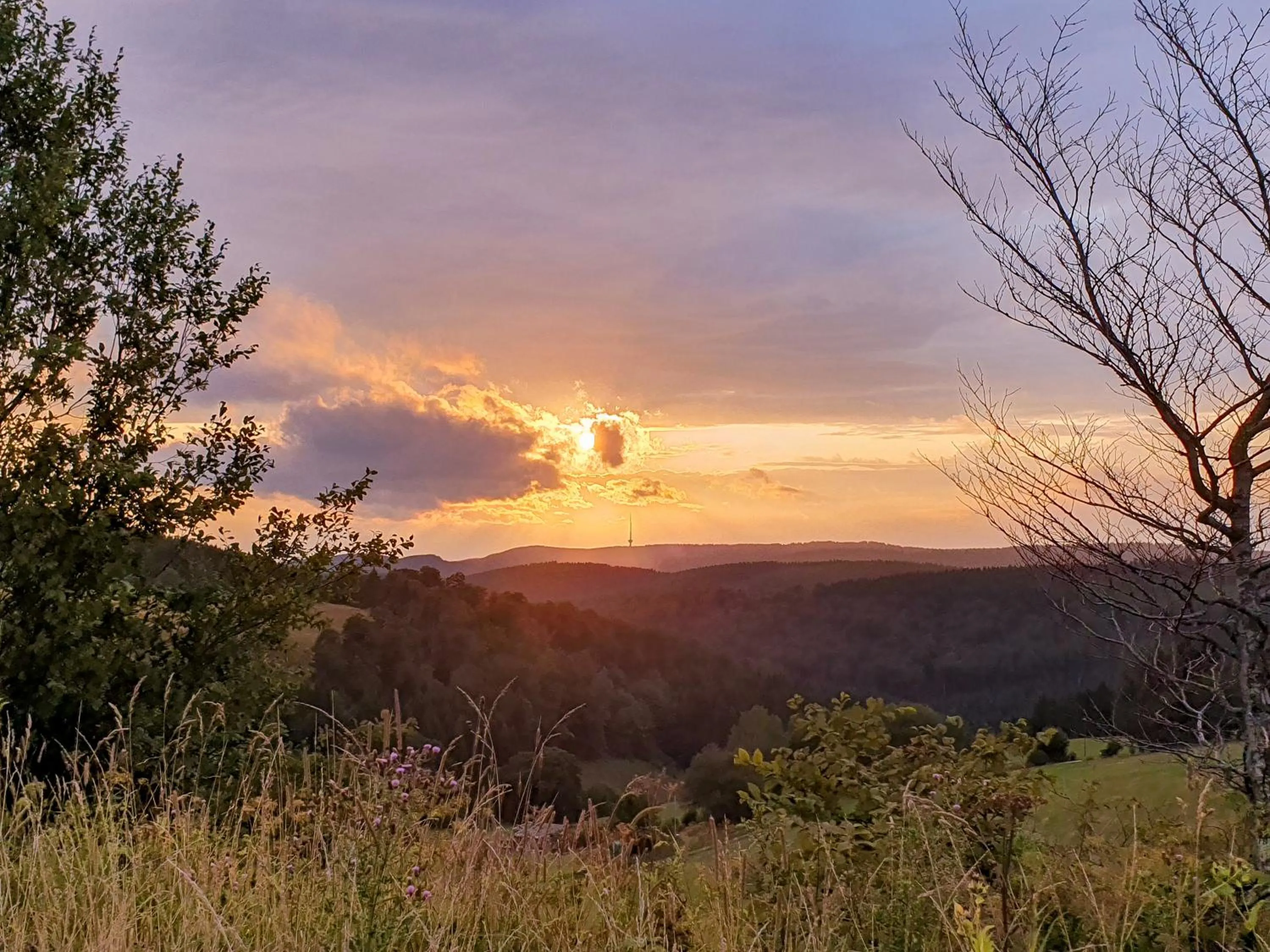 Natural landscape in Hotel Deimann