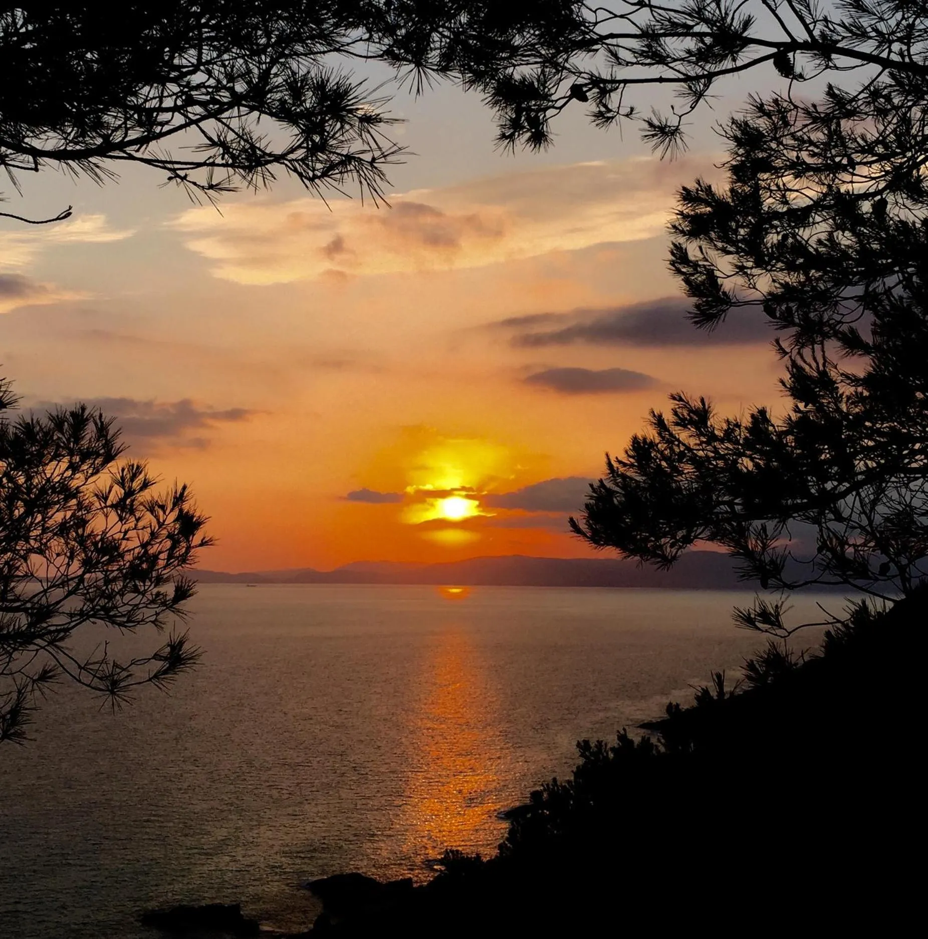 Natural landscape in Hostal Atlanta