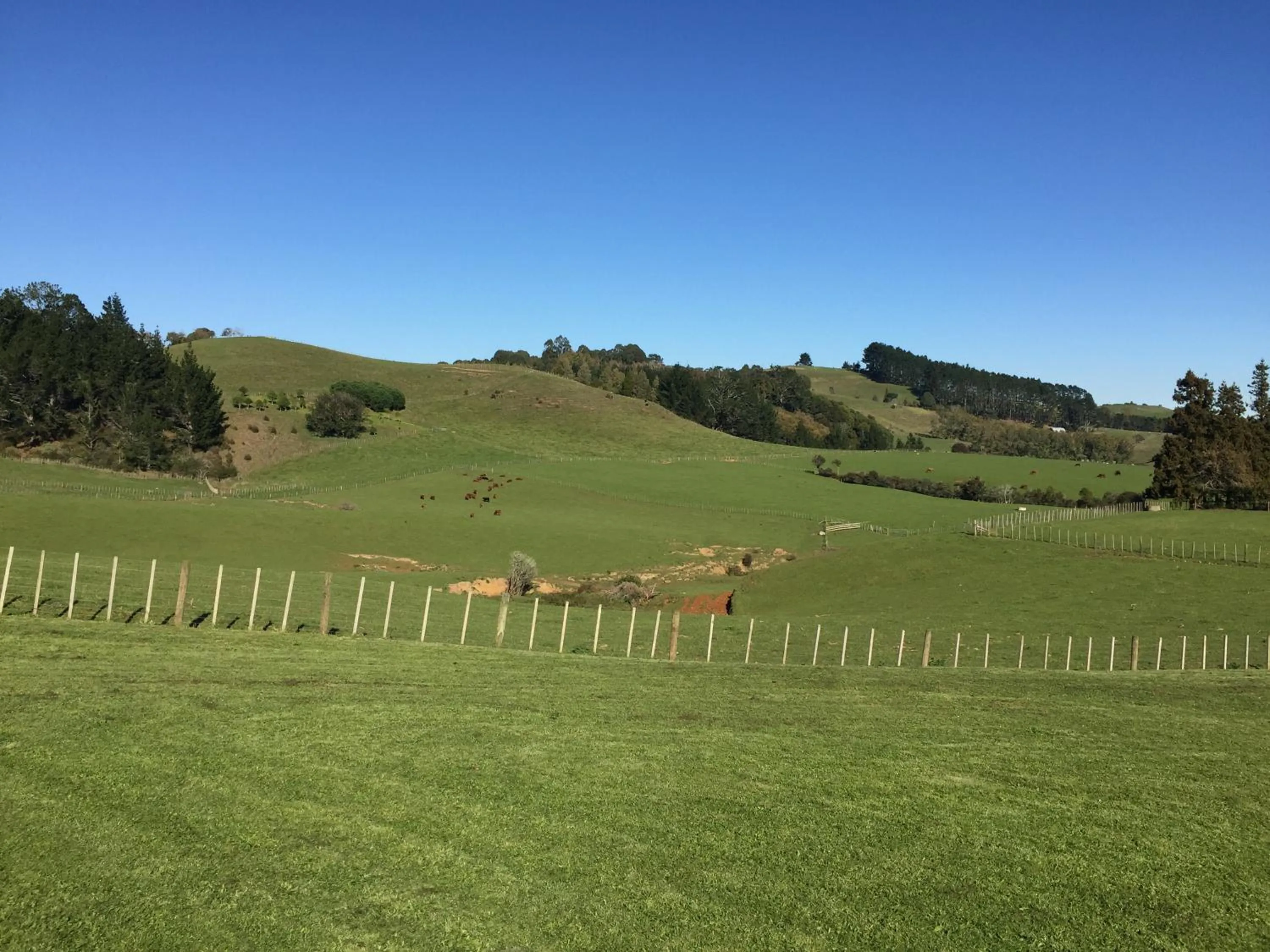 Mountain view in Veld View Bed and Breakfast