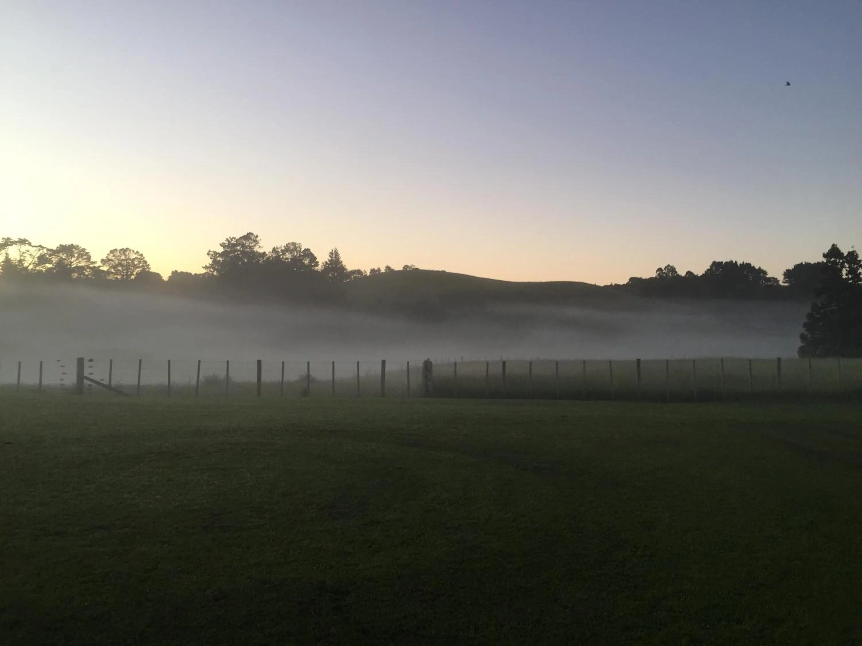 Natural landscape in Veld View Bed and Breakfast