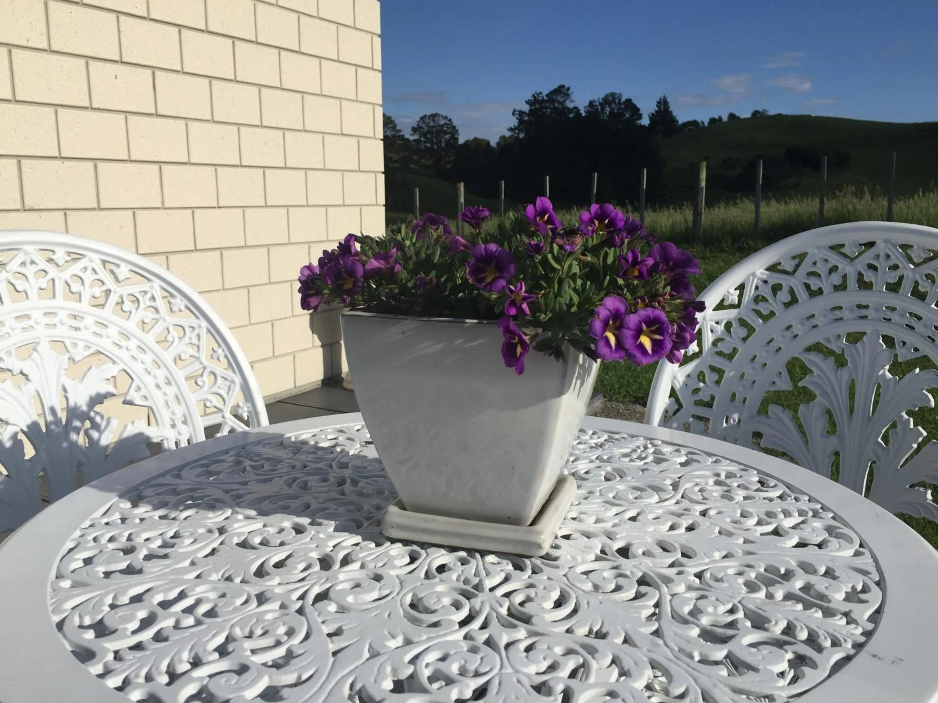 Patio in Veld View Bed and Breakfast