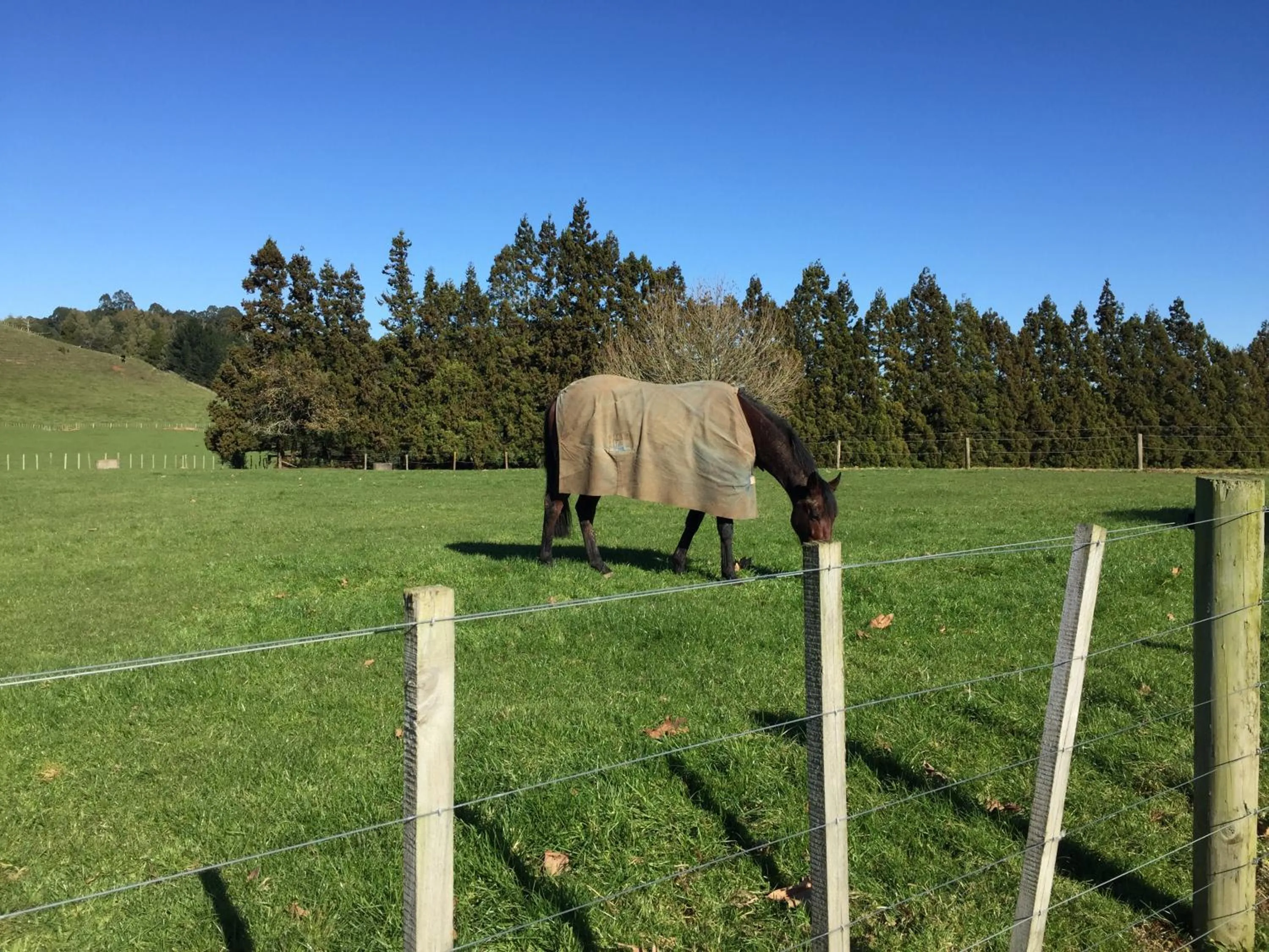 View (from property/room) in Veld View Bed and Breakfast