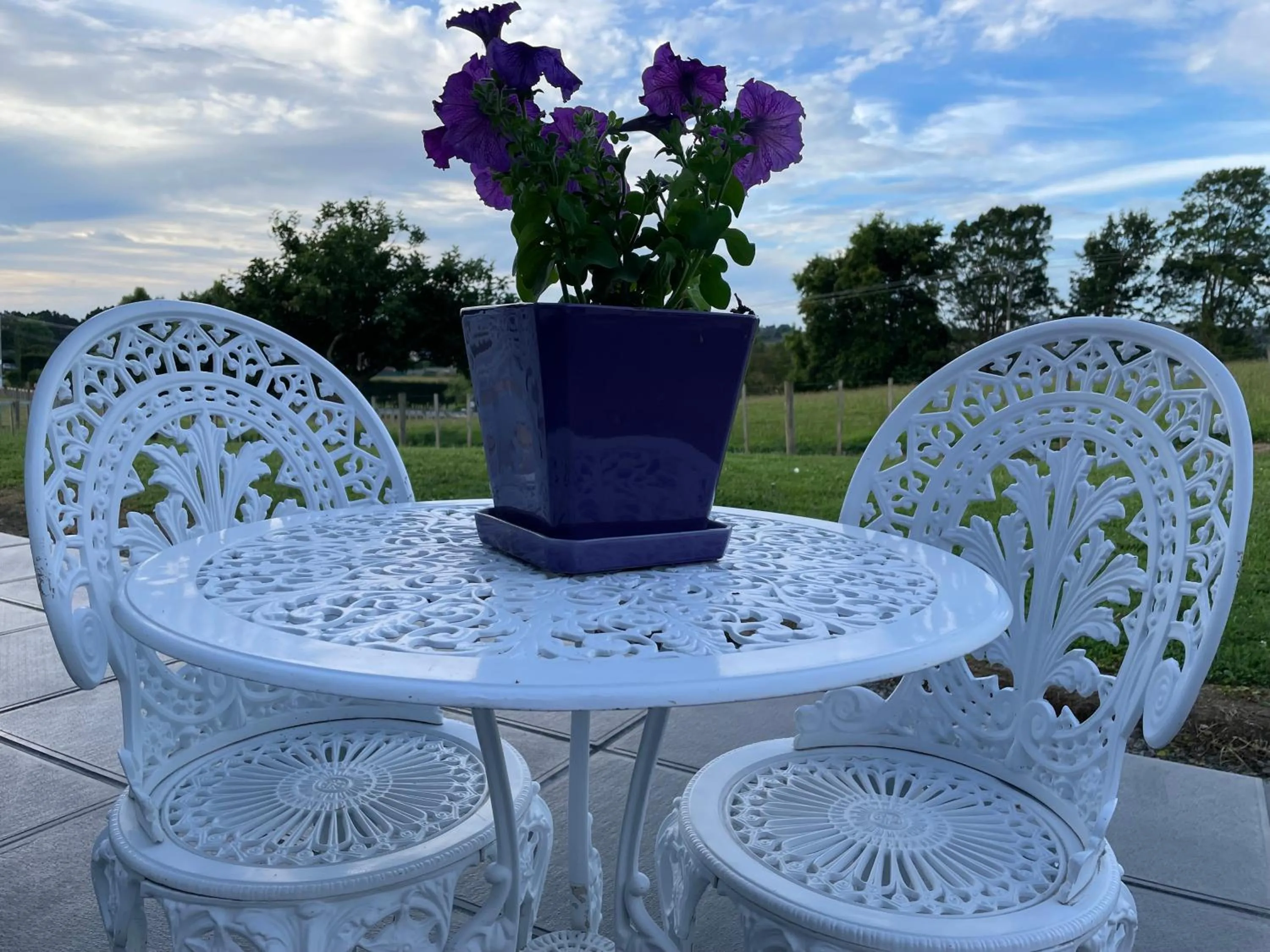 Patio in Veld View Bed and Breakfast