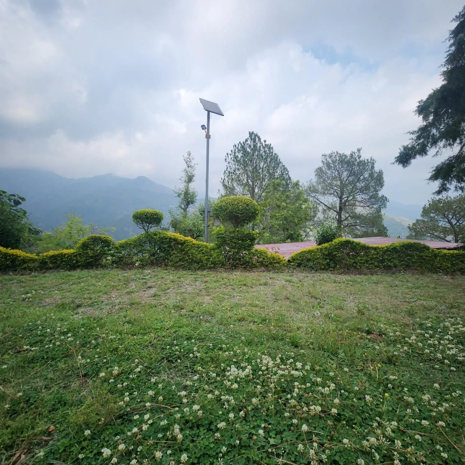 Garden in The Golden Sunrise Hotel
