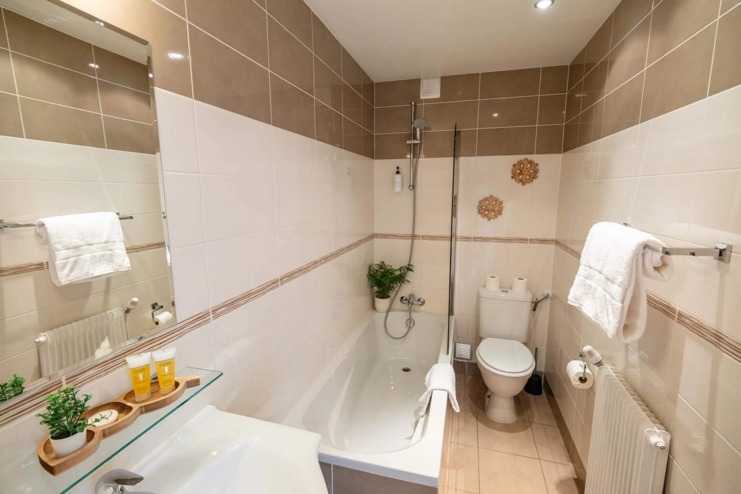 Shower in Chalet Hôtel La Sapinière