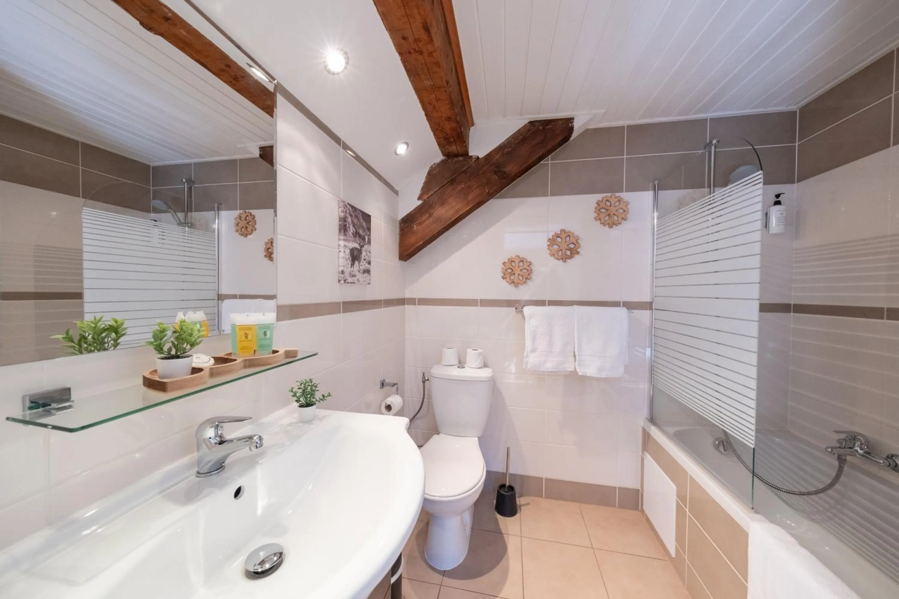 Shower in Chalet Hôtel La Sapinière