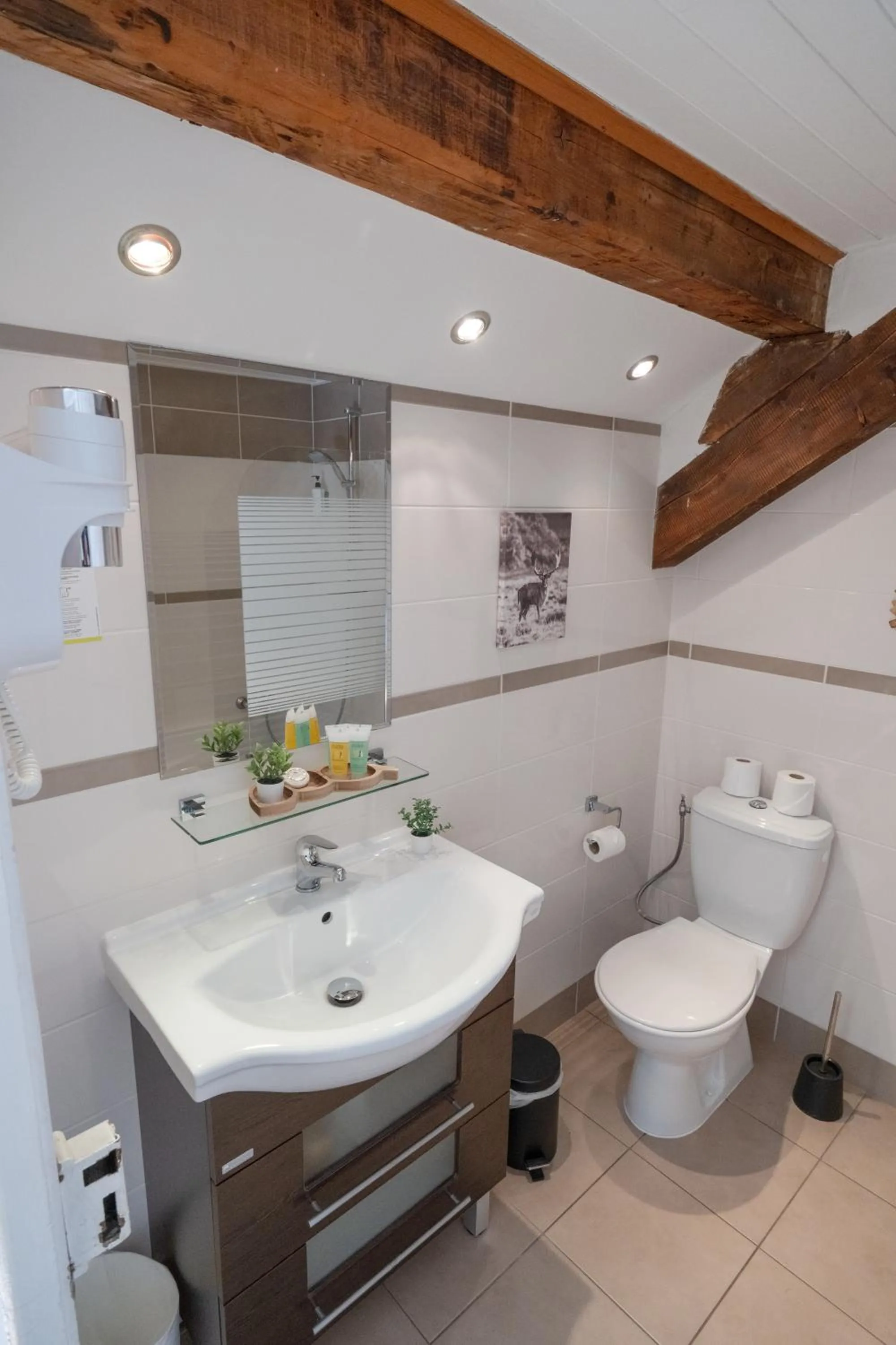 Bathroom in Chalet Hôtel La Sapinière