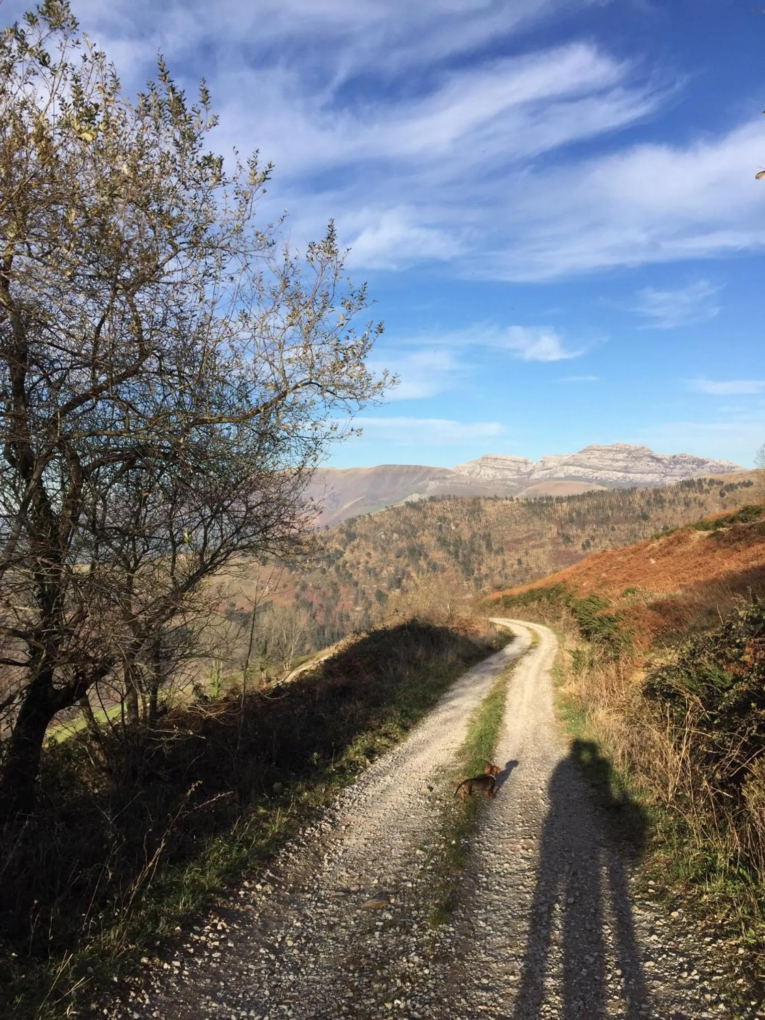 Hiking in Posada de Villacarriedo