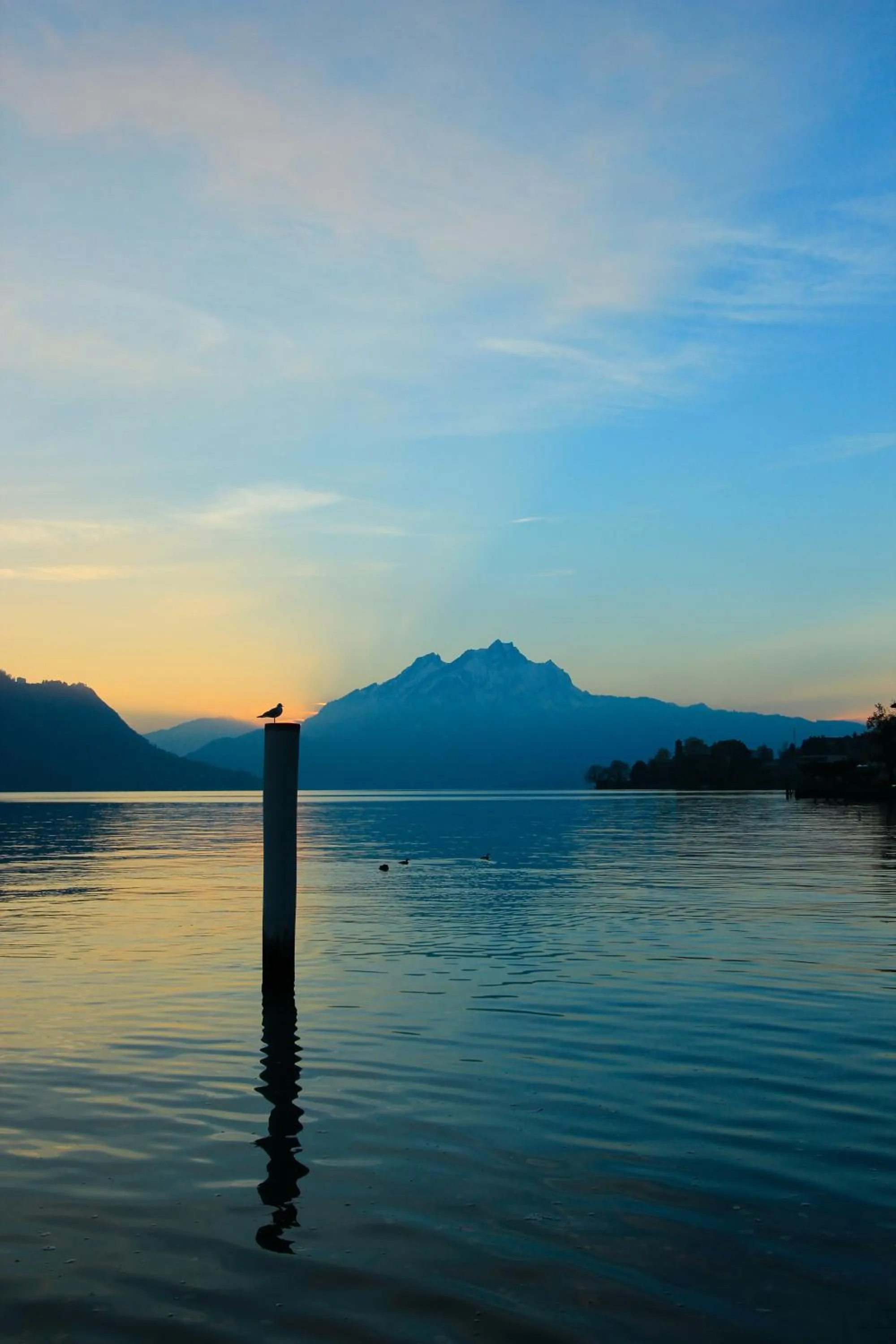 View (from property/room) in Seehotel Gotthard
