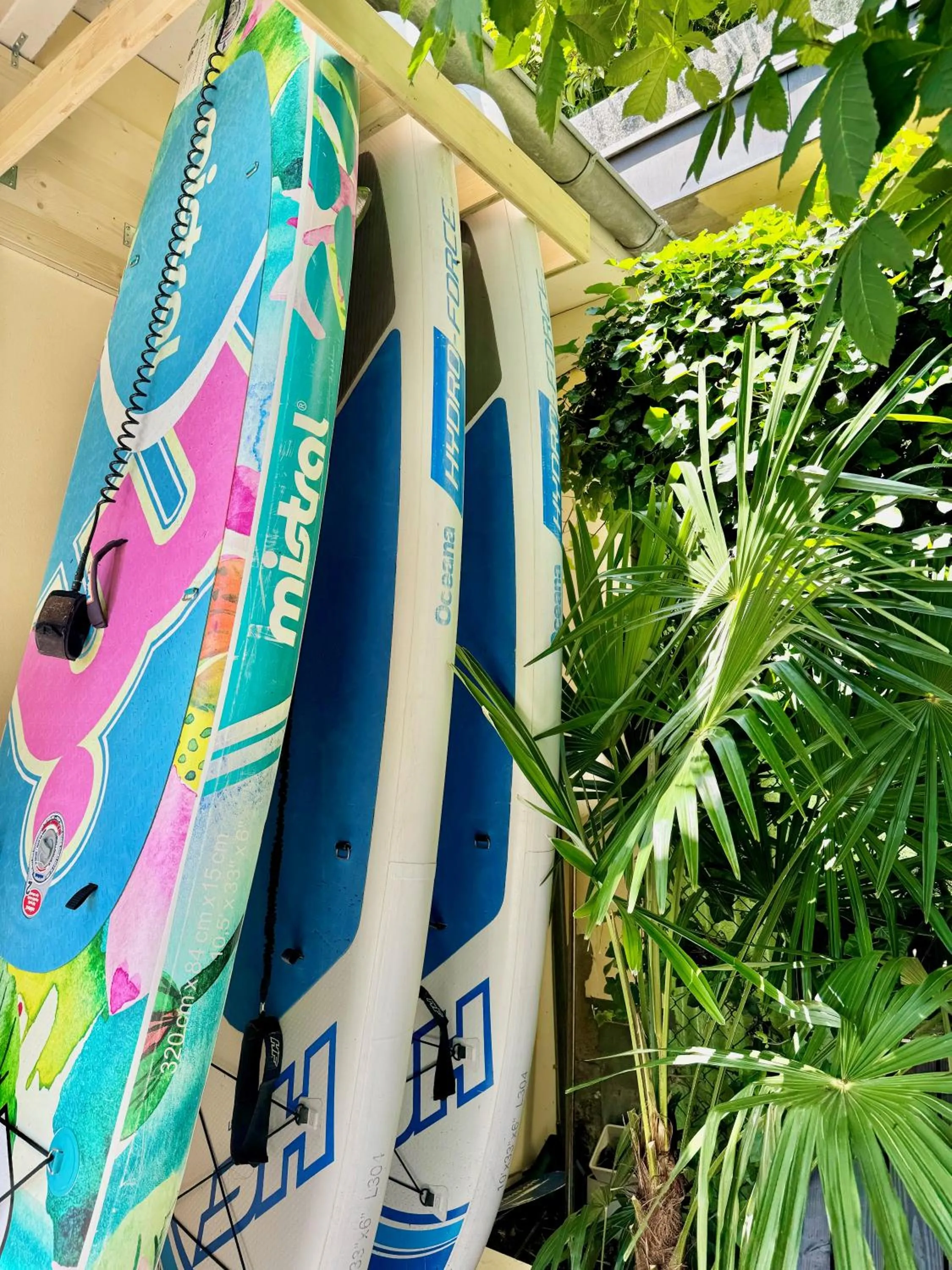 Sports in Seehotel Gotthard