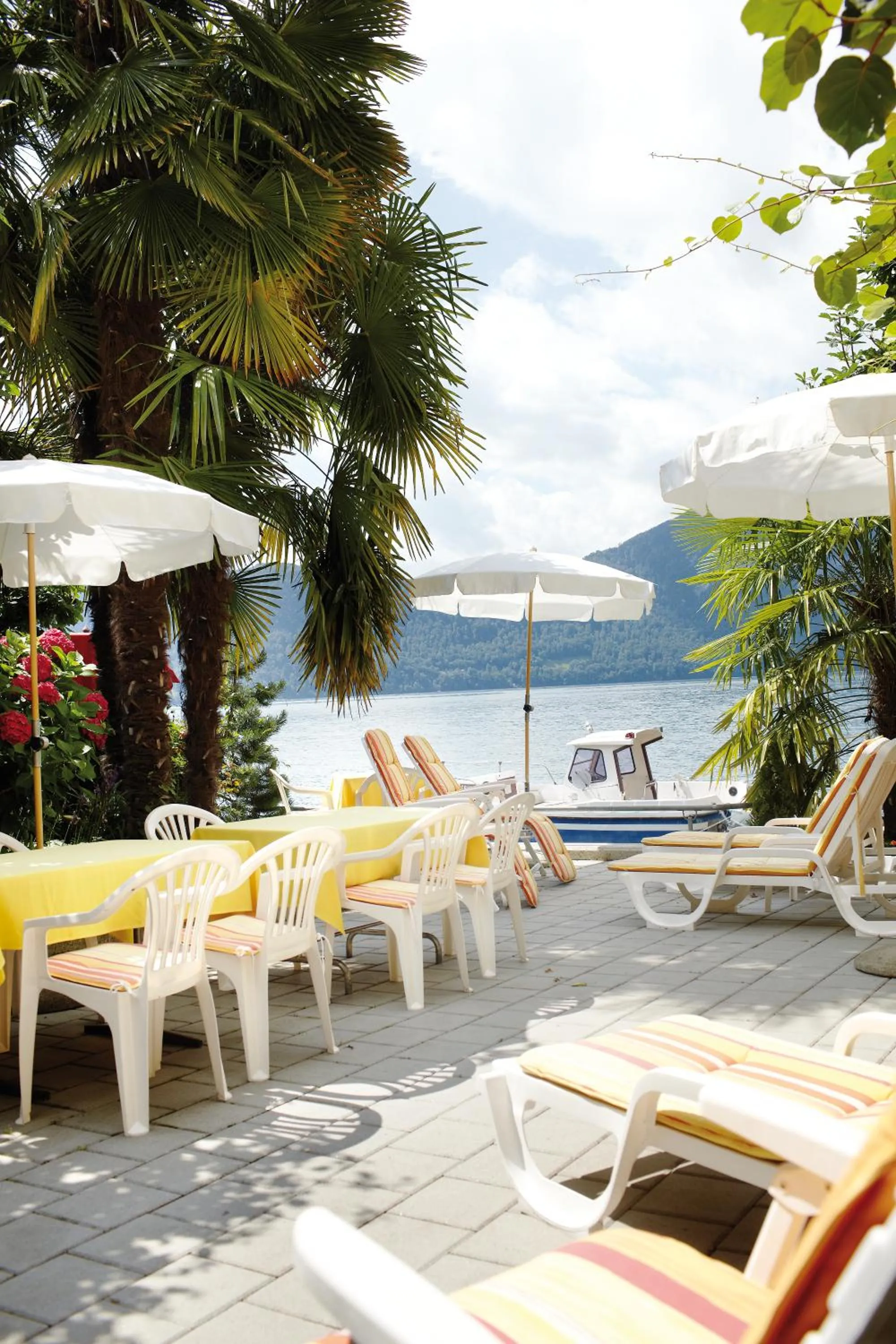 Garden in Seehotel Gotthard