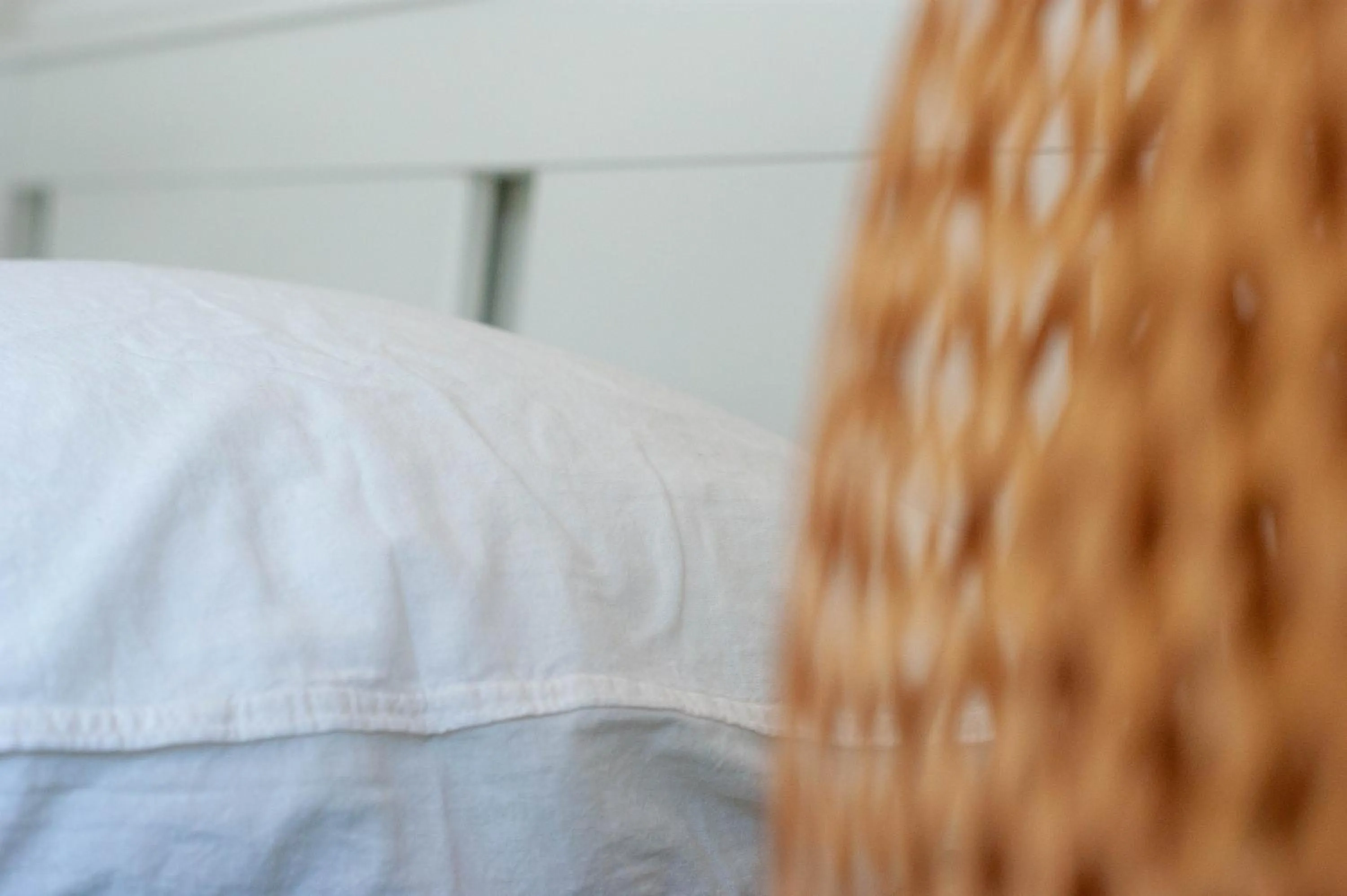 Bed in Budget rooms Pilatus - Alpnachstad