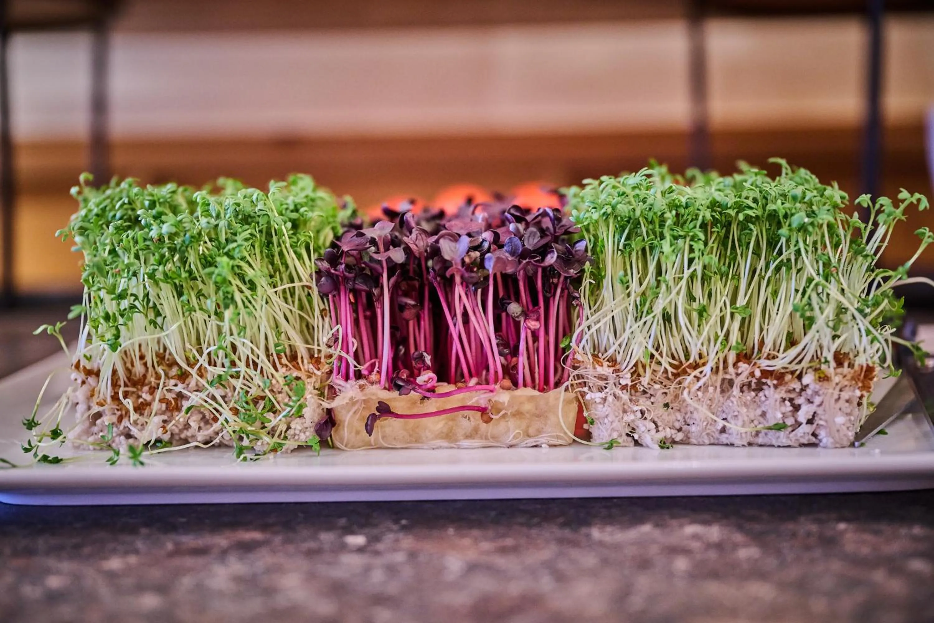 Food in Hotel am See