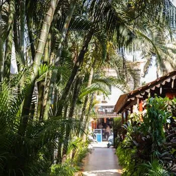 Facade/entrance in Sea Breeze Inn, Calangute Goa