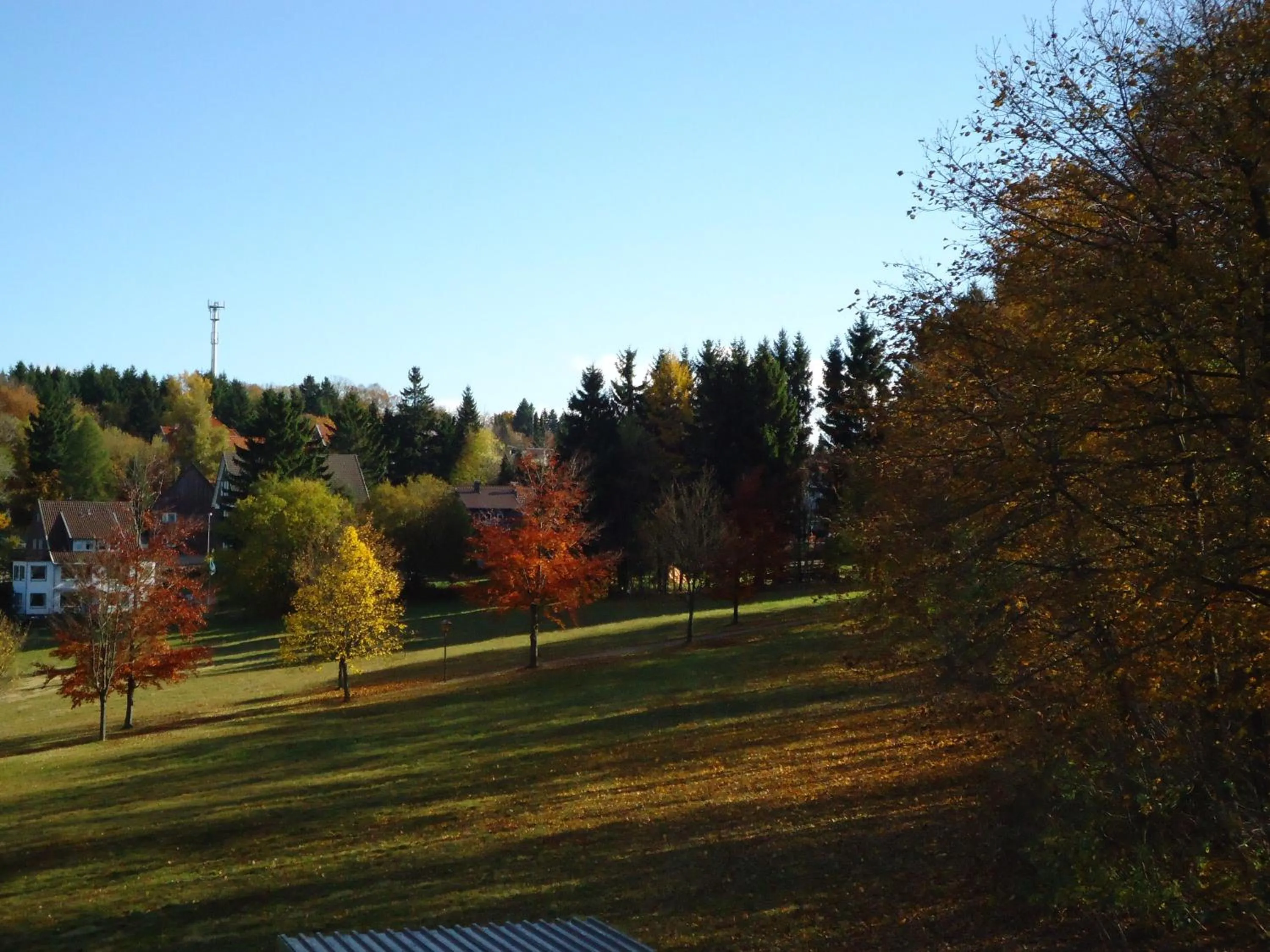 Garden in Vitalhotel Sonneneck