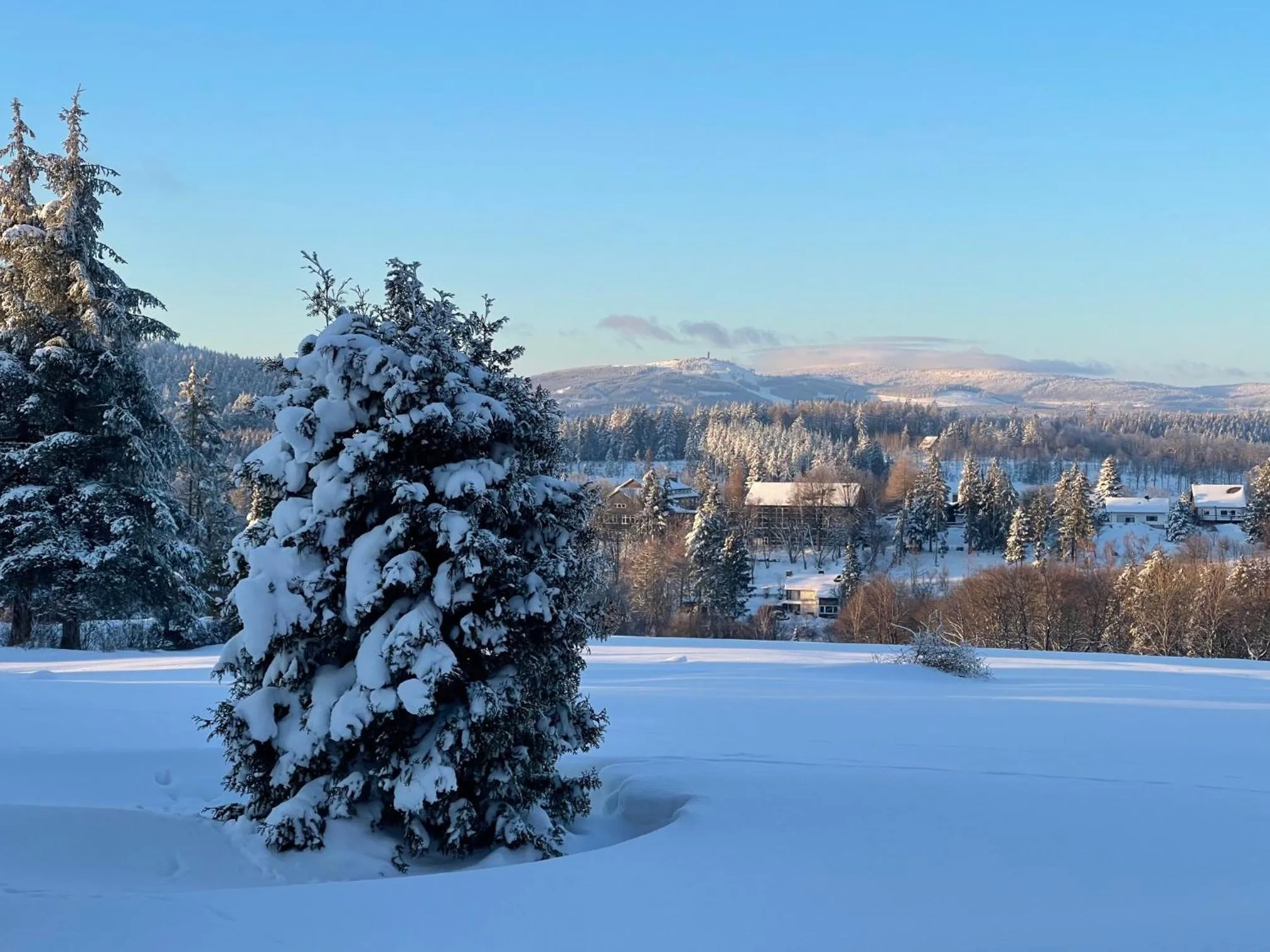 Natural landscape in Vitalhotel Sonneneck