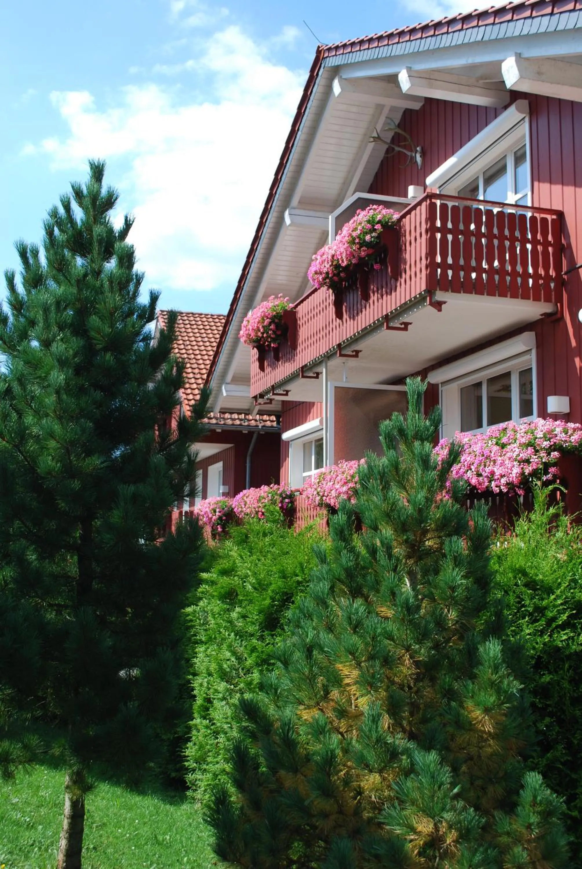 Area and facilities in Vitalhotel Sonneneck