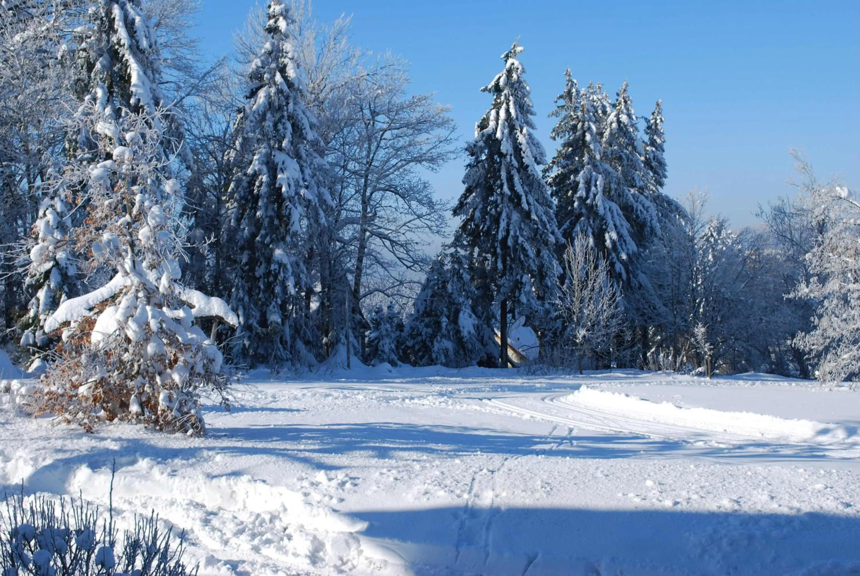 Natural landscape in Vitalhotel Sonneneck