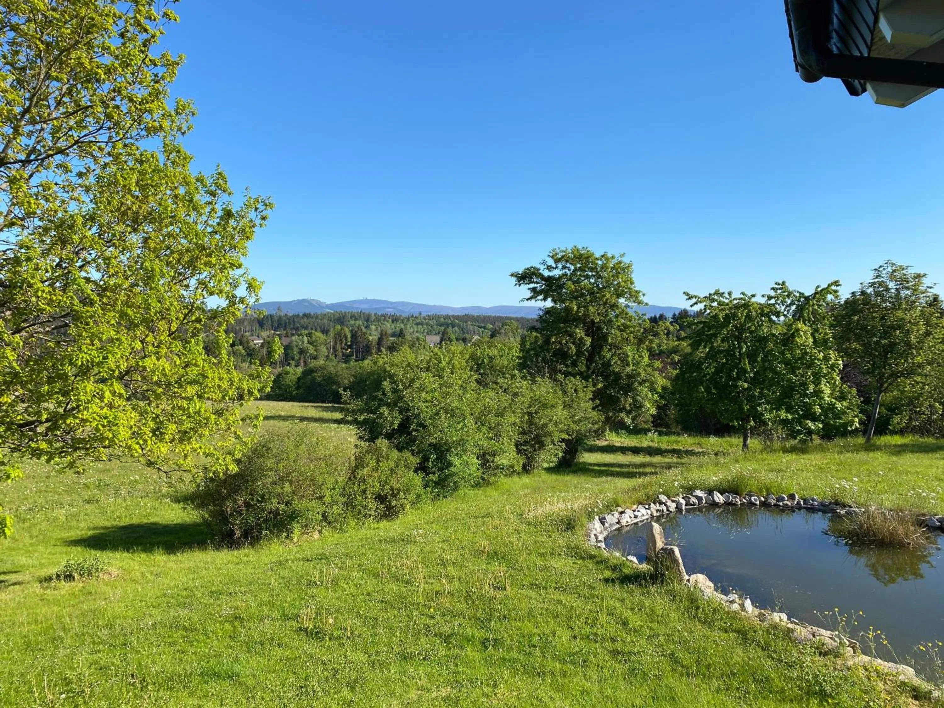 View (from property/room) in Vitalhotel Sonneneck