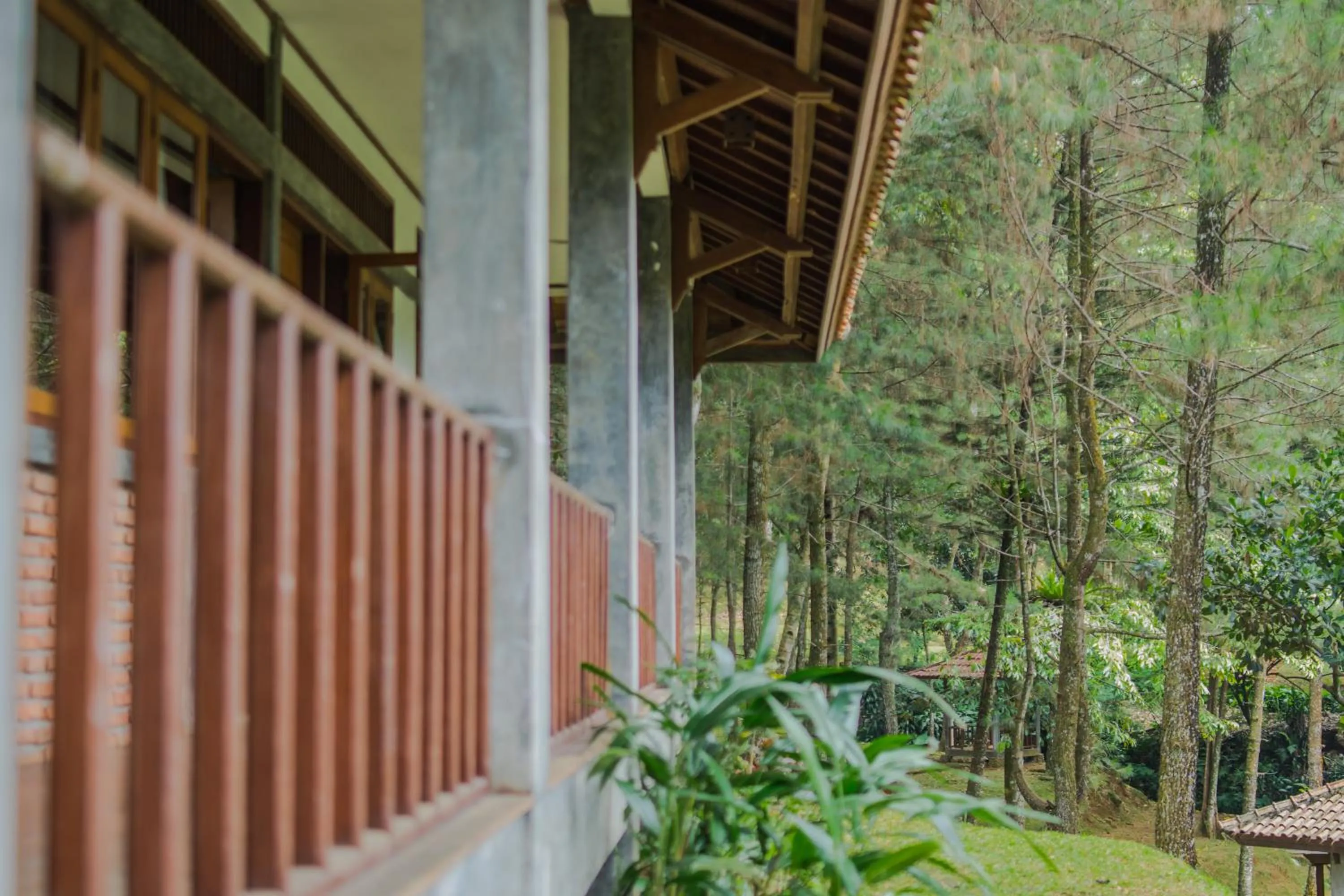 Balcony/Terrace in Griya Dunamis by SABDA