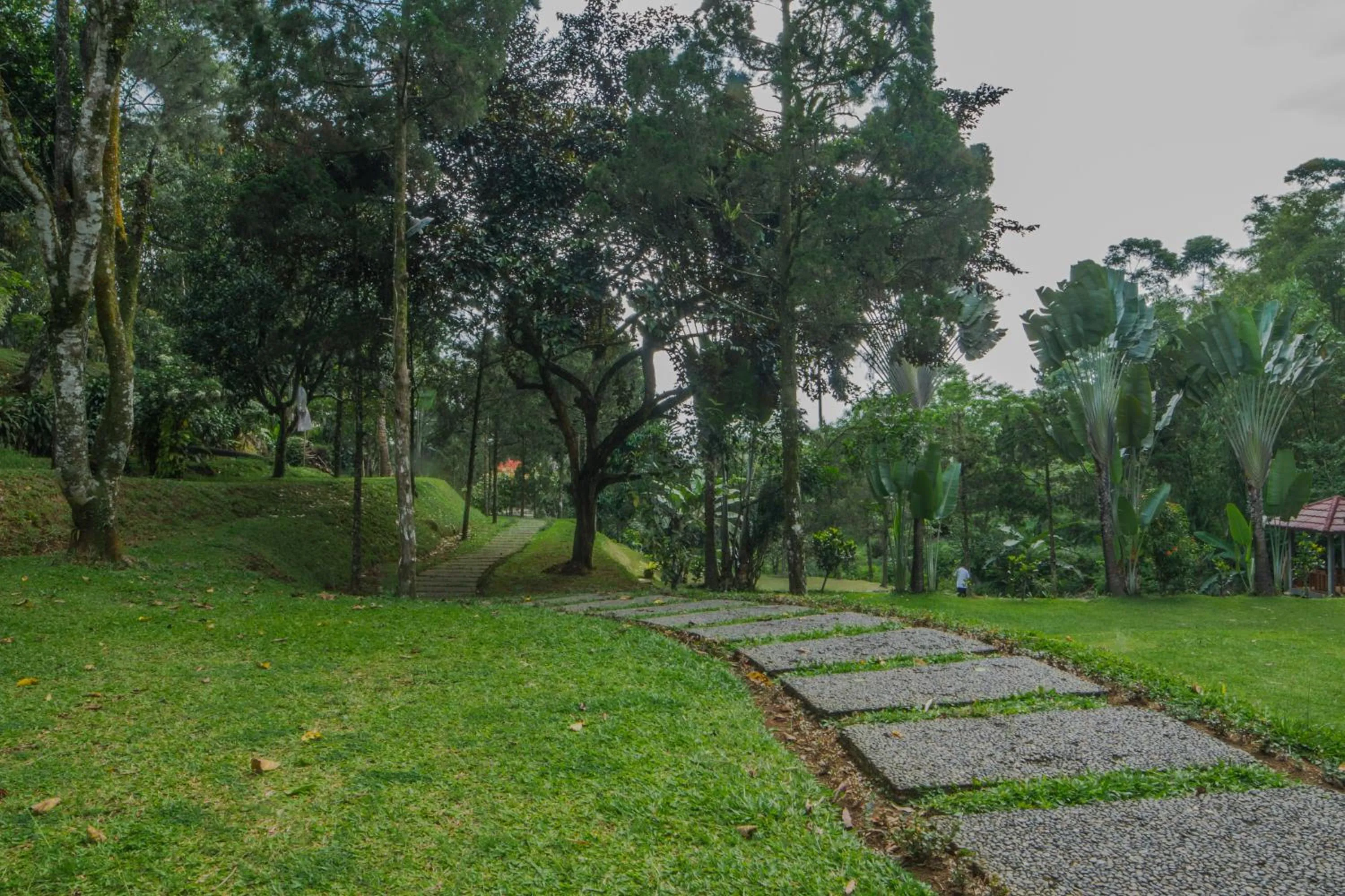 Natural landscape in Griya Dunamis by SABDA