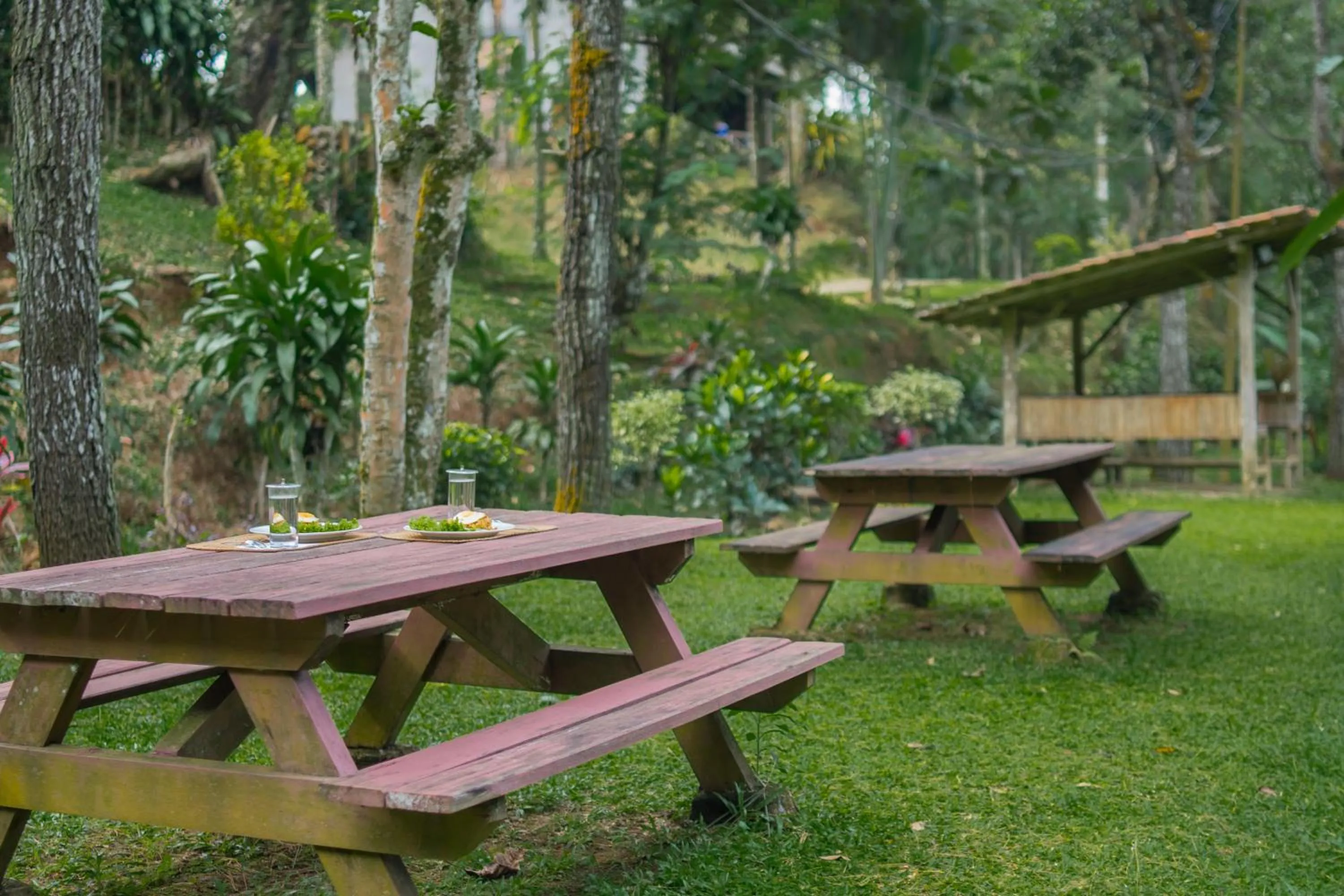 Patio in Griya Dunamis by SABDA