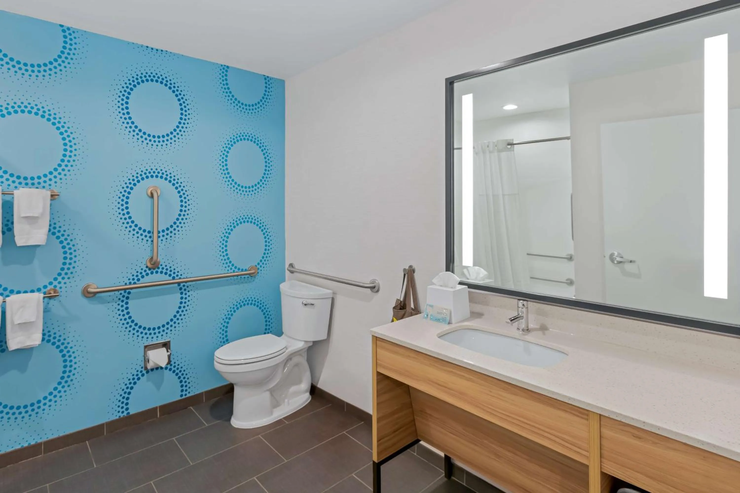 Bathroom in Tru by Hilton Asheville Blue Ridge Parkway