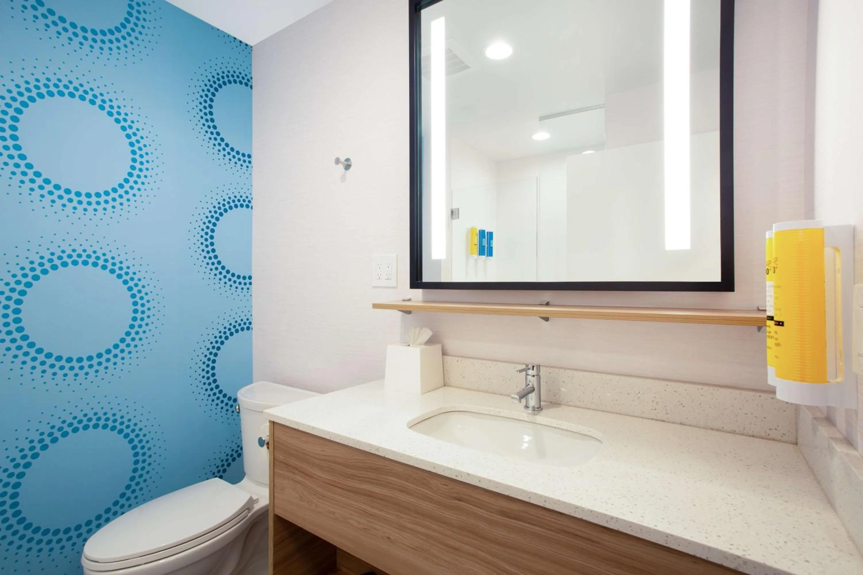 Bathroom in Tru by Hilton Asheville Blue Ridge Parkway