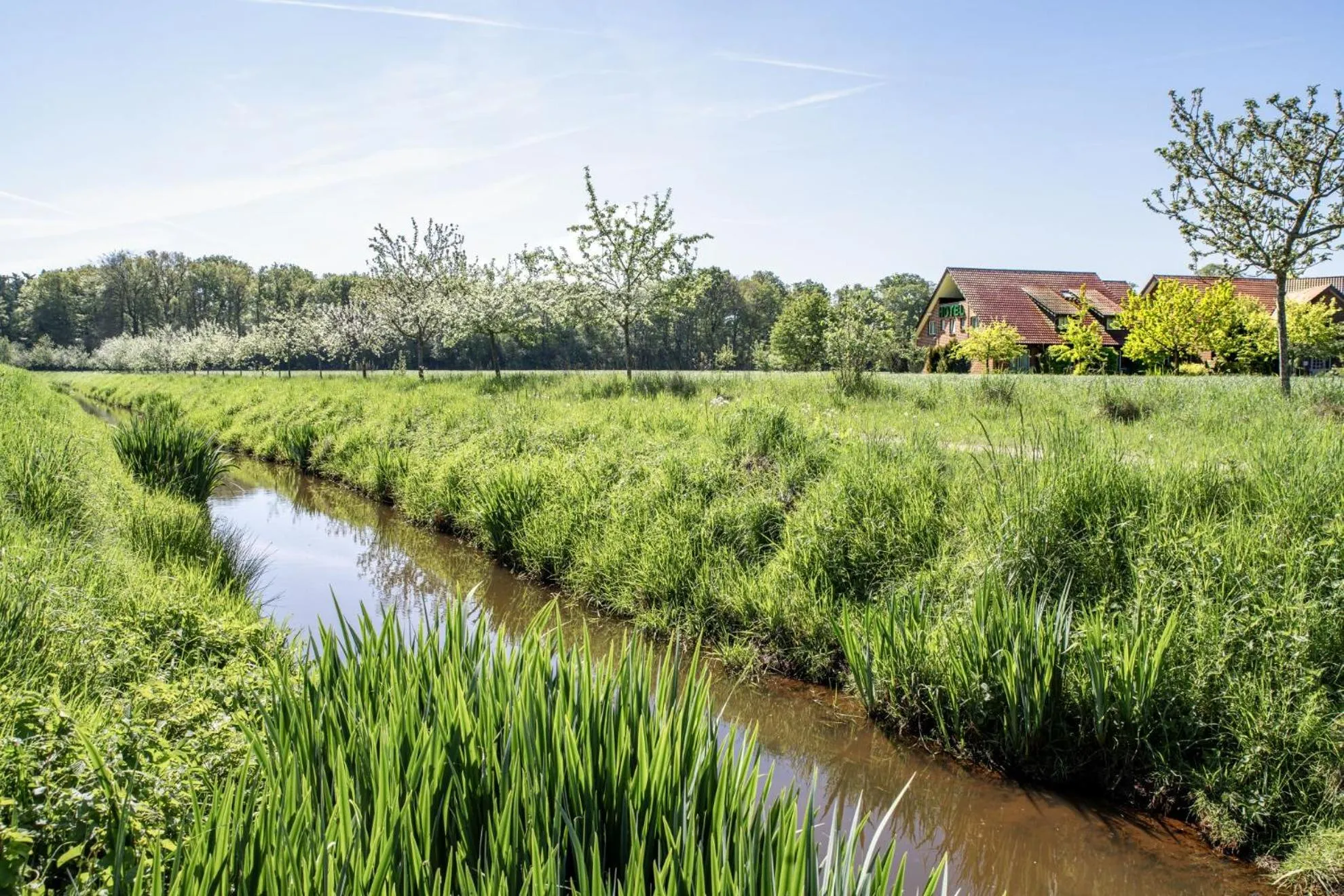 Natural landscape in Hotel Heilemann