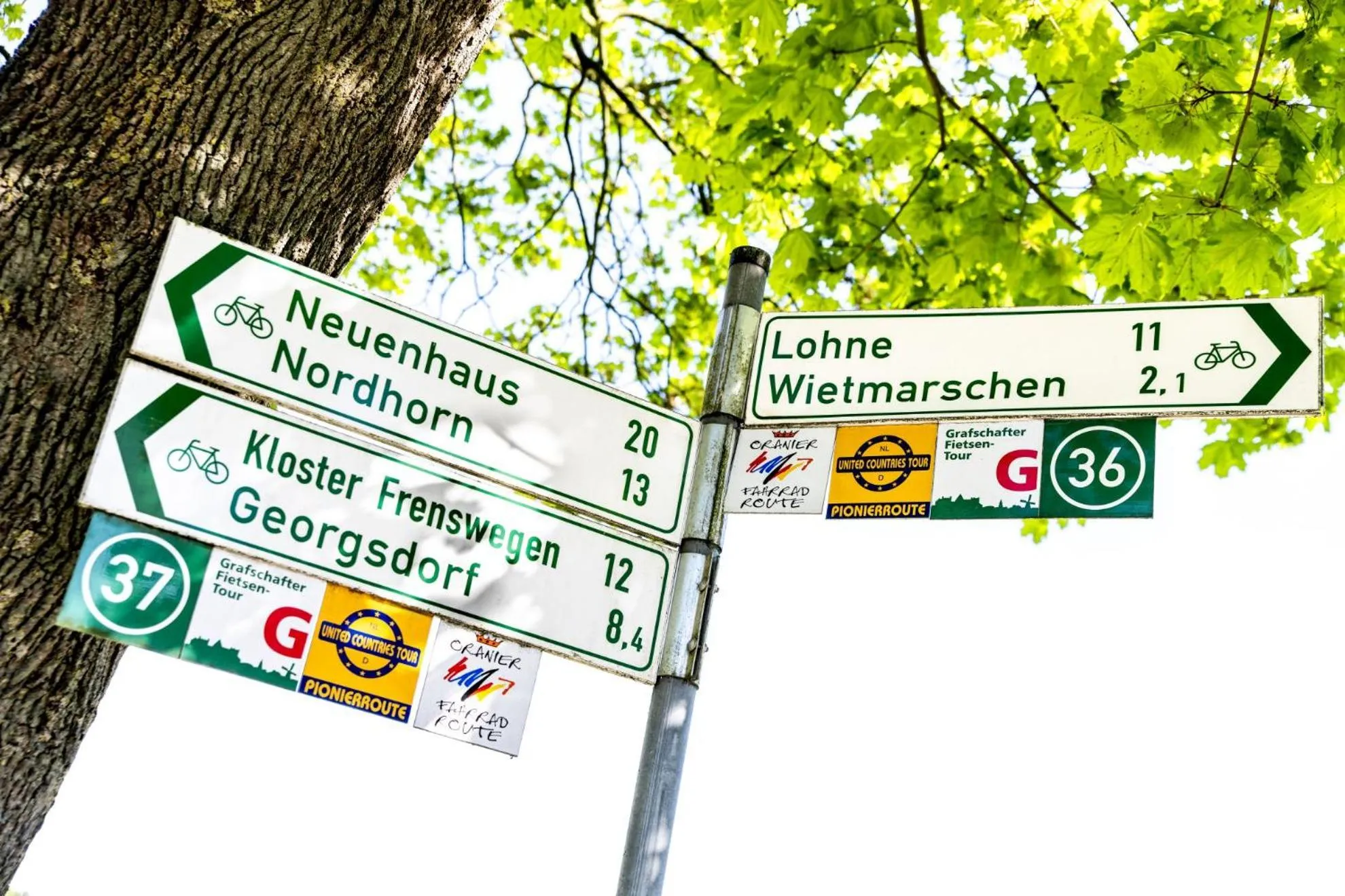 Natural landscape in Hotel Heilemann