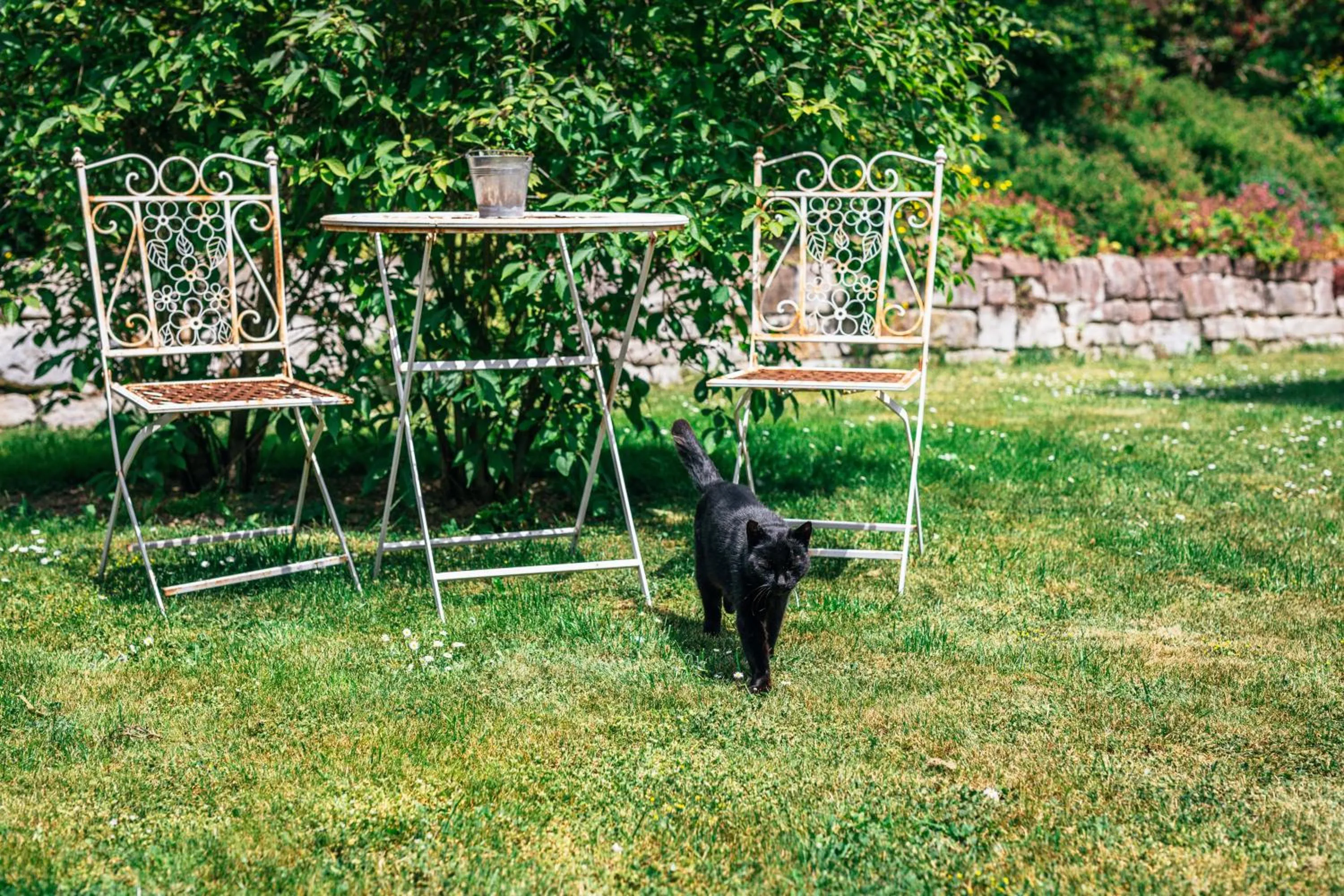 Garden in Gasthaus Hotel Ostermeier