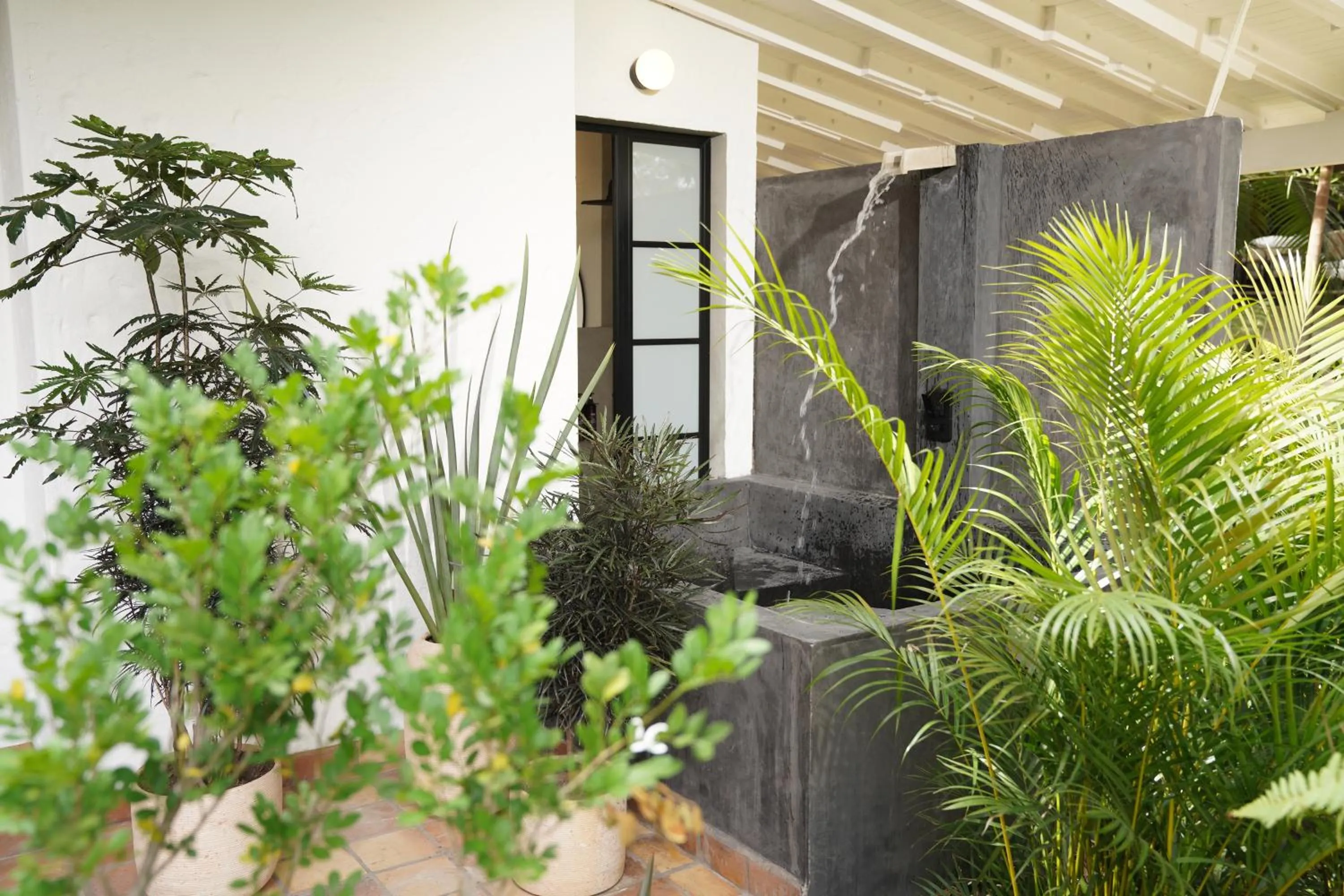 Garden in Hotel Quinta Ladera