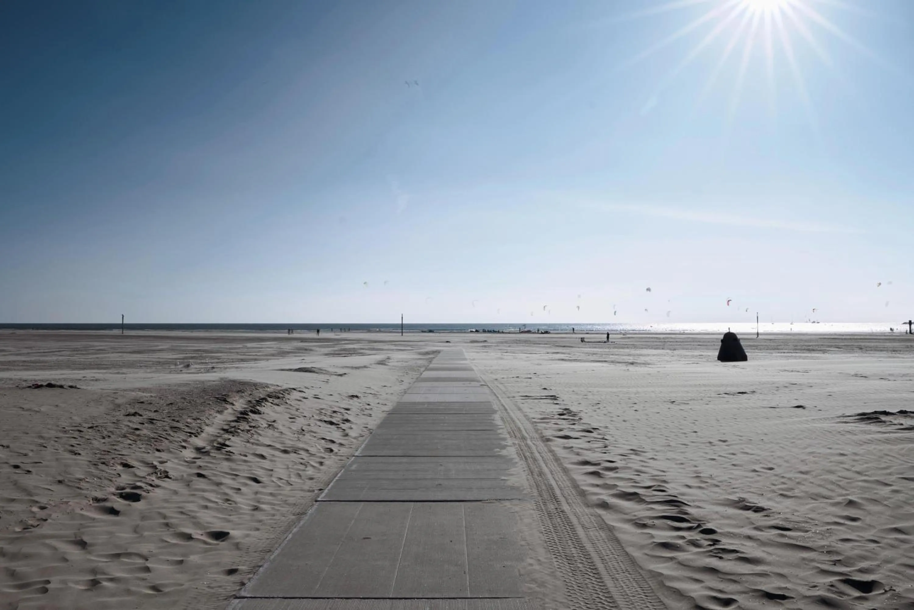 Natural landscape in Harbour Hotel IJmuiden