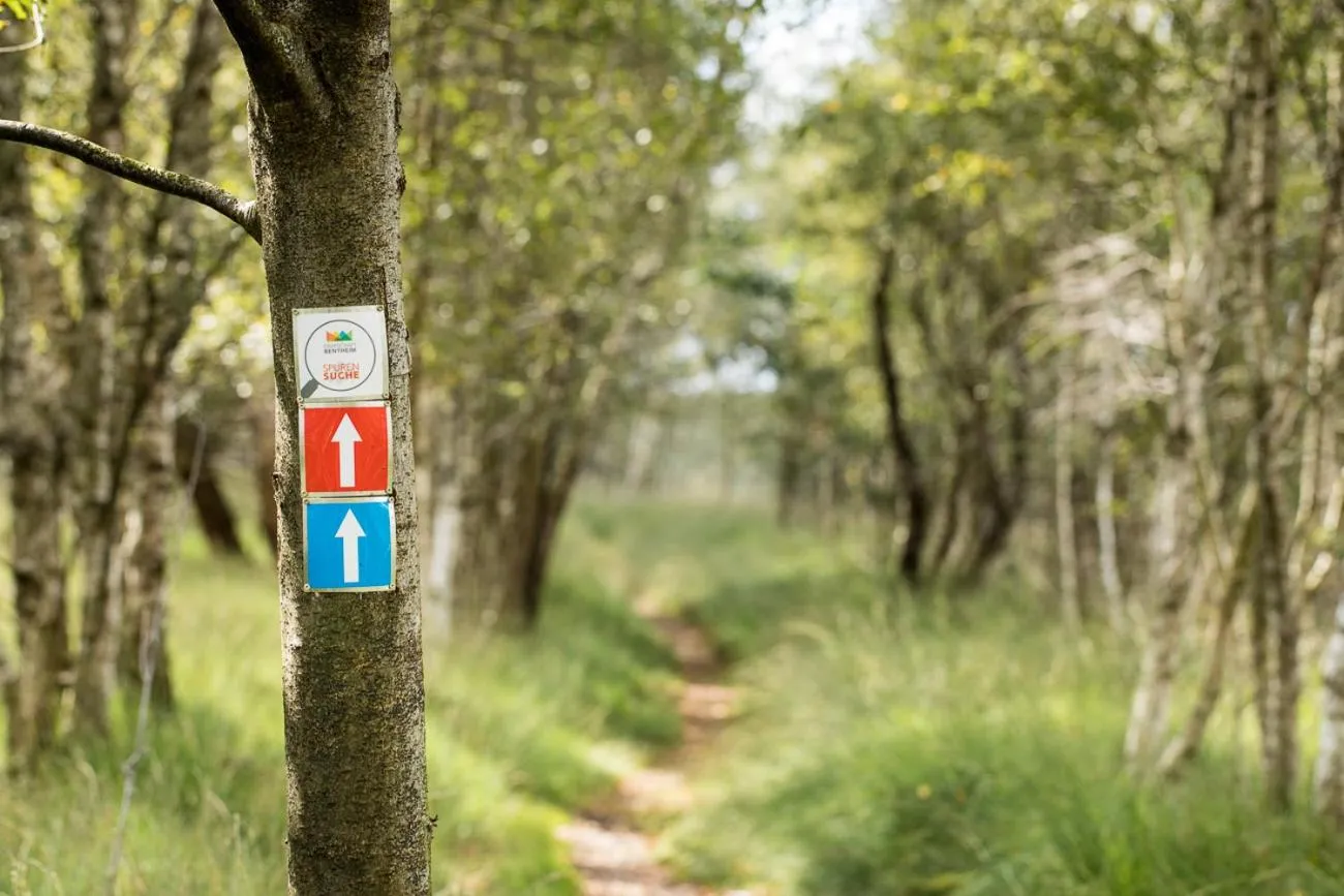 Other in Hotel Nickisch