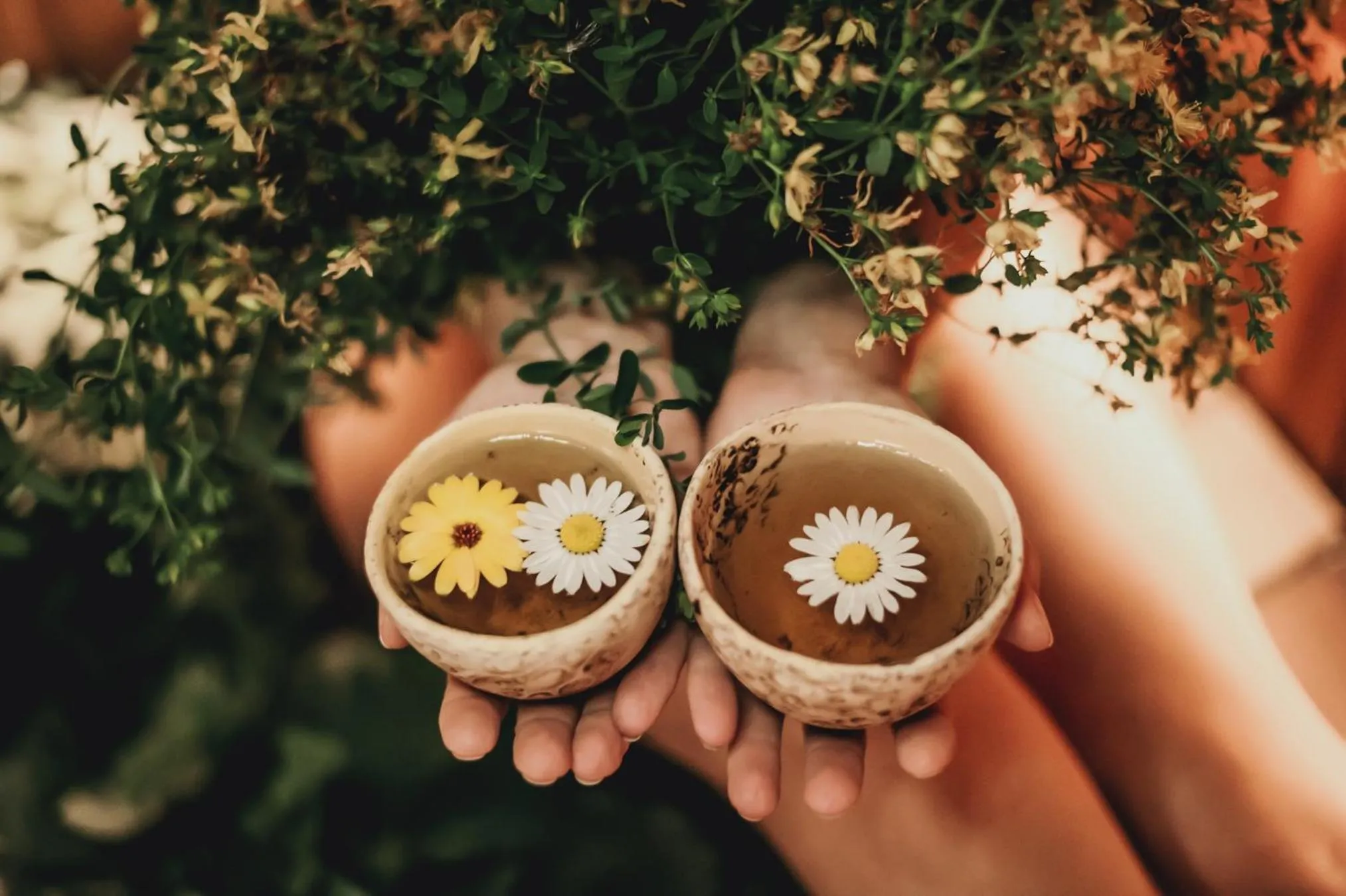 Spa and wellness centre/facilities in "Parko vila" Anykščiai