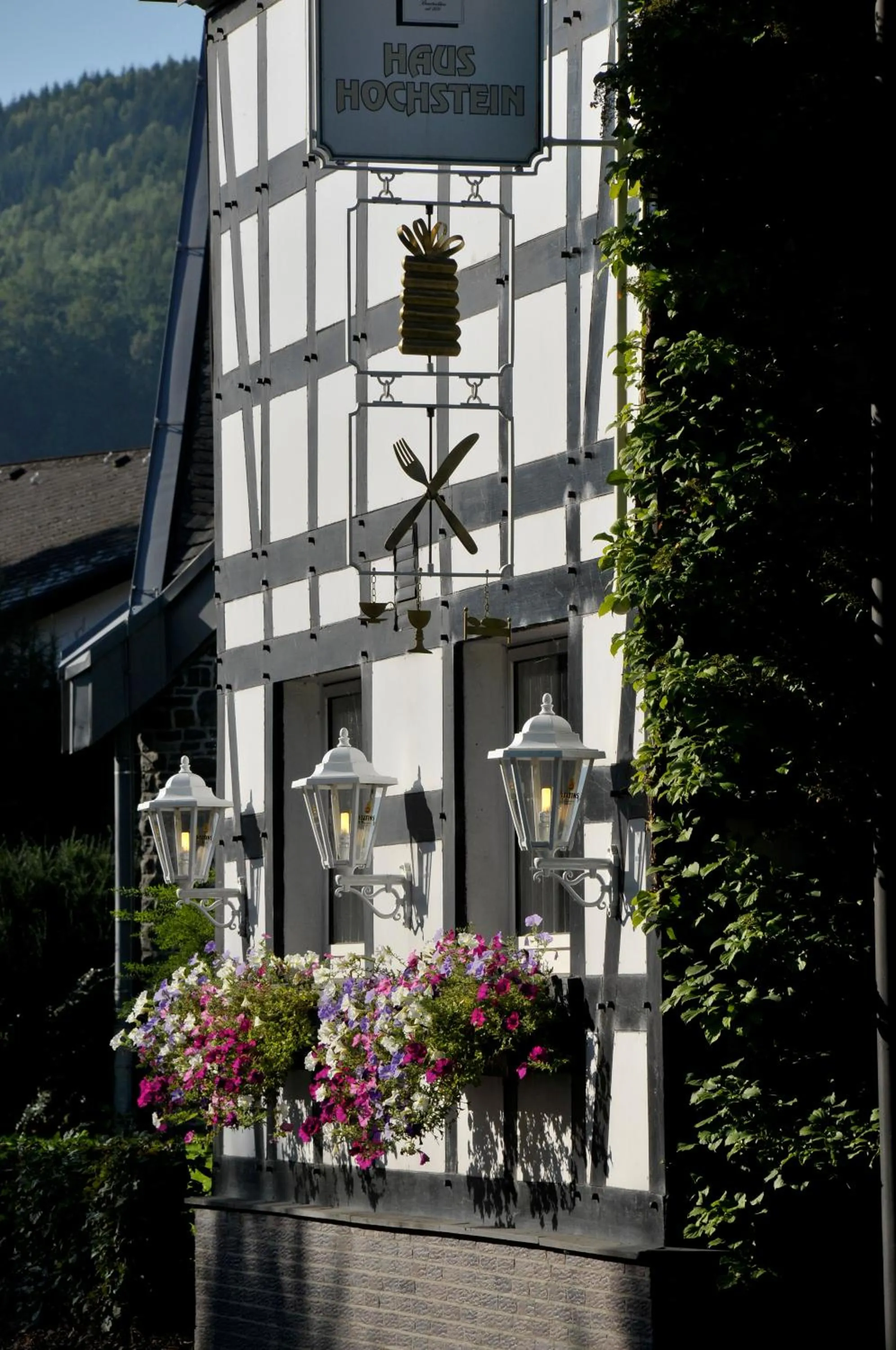 Facade/entrance in Landidyll Hotel Haus Hochstein