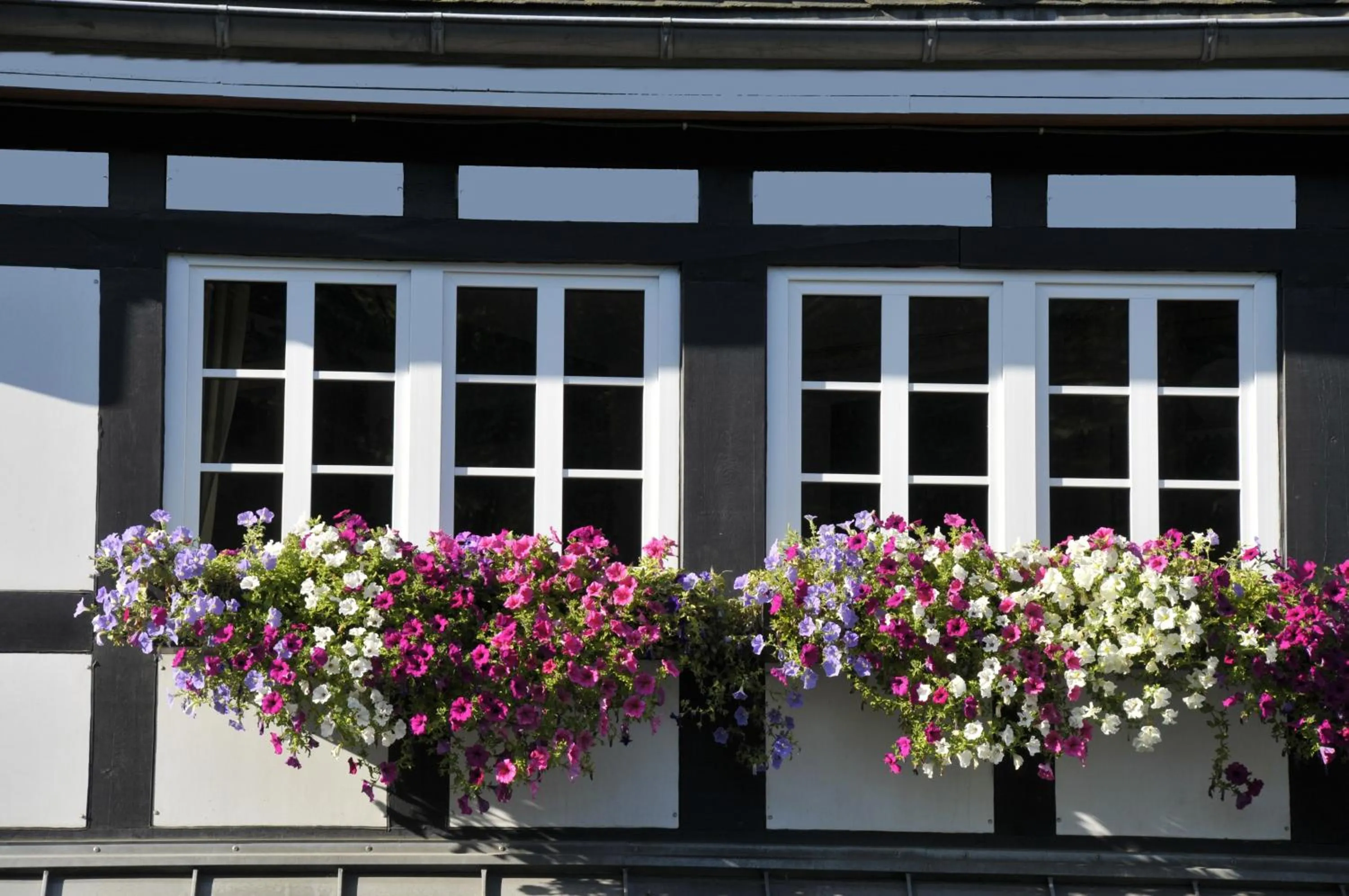 Facade/entrance in Landidyll Hotel Haus Hochstein