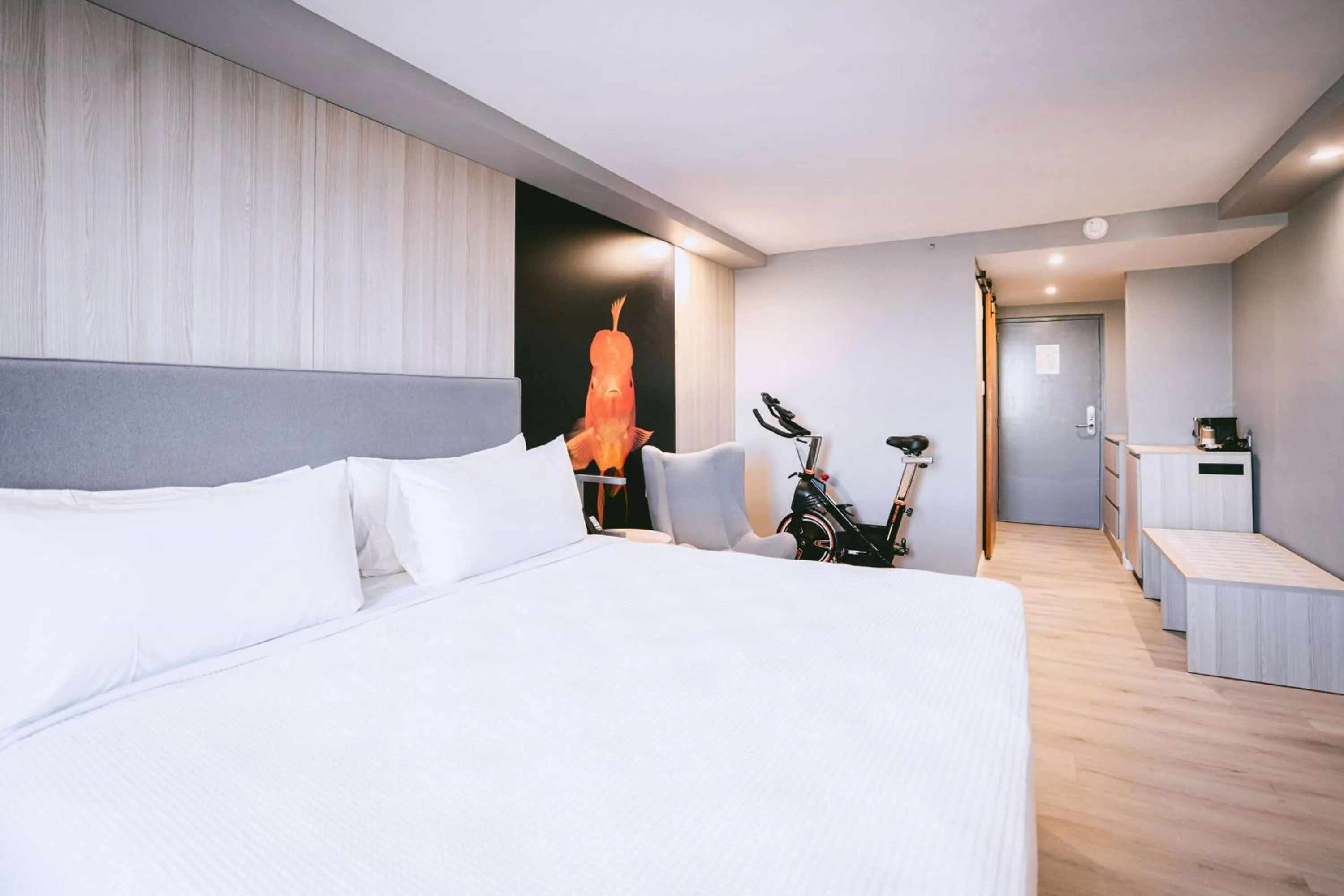 Photo of the whole room, Bed in TRYP by Wyndham Aruba