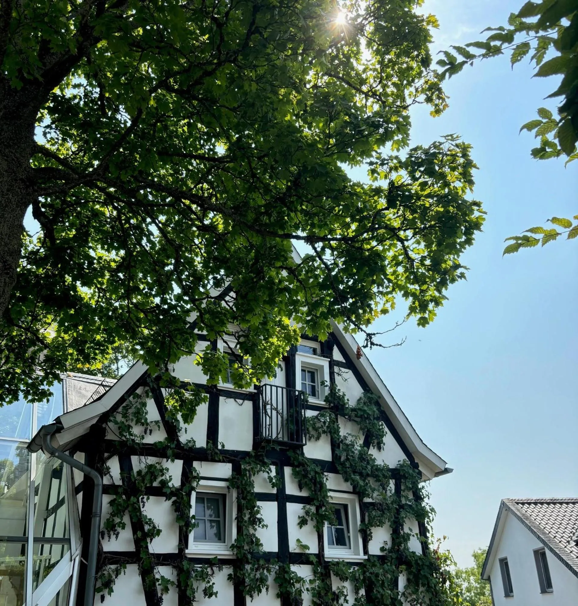 Property building in Malerwinkel Hotel