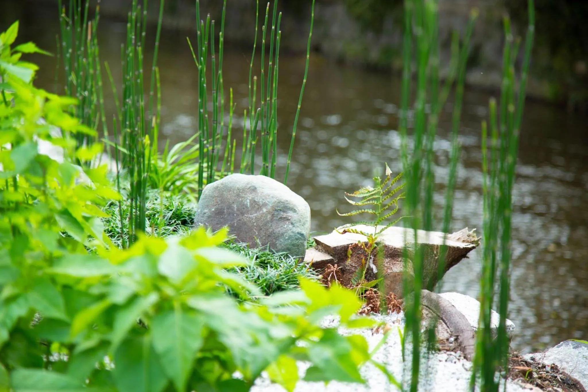 Kyoto Takasegawa Bettei - Vacation STAY 08072v