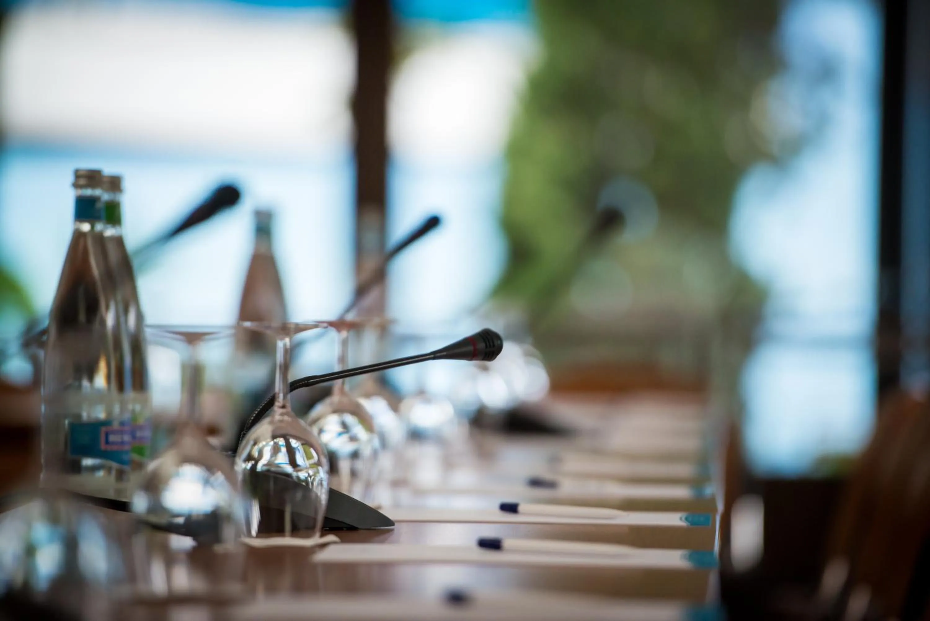 Business facilities in Hotel Mona