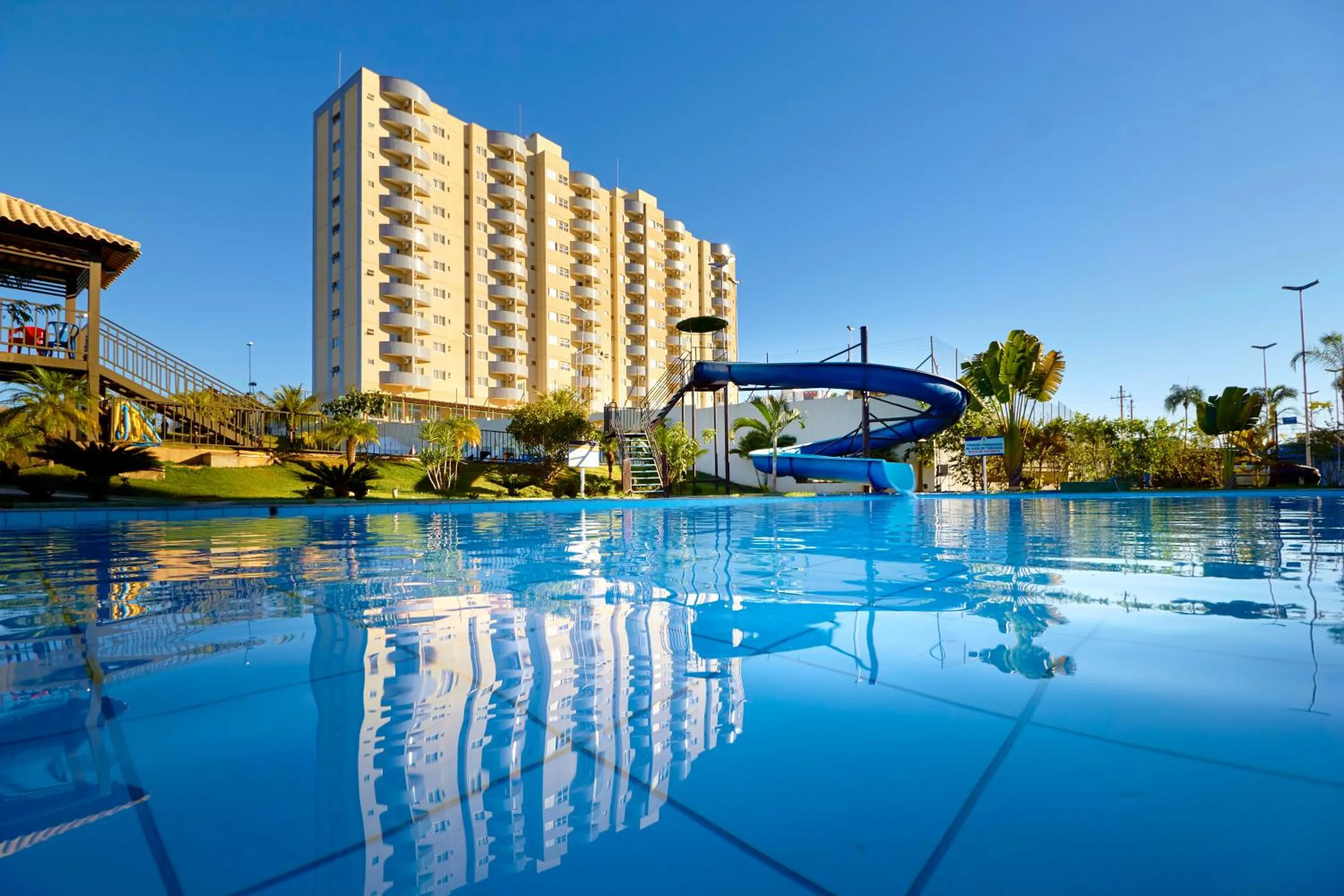 Golden Dolphin Express Oficial