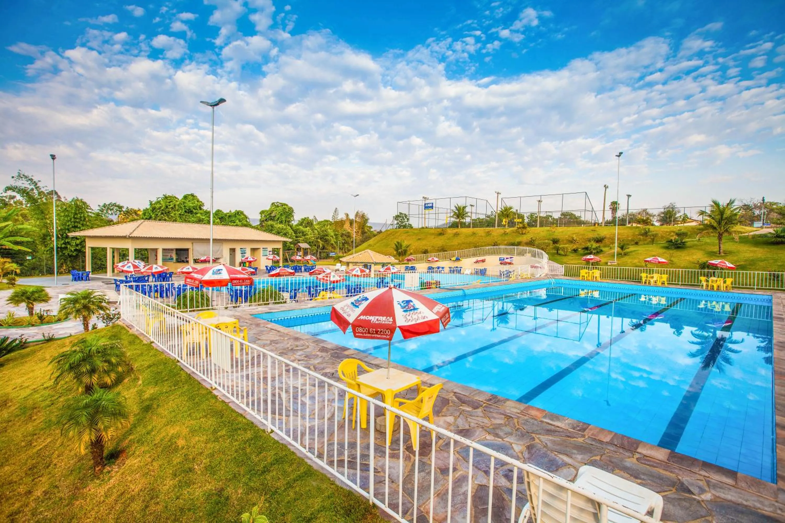 Golden Dolphin Express Oficial