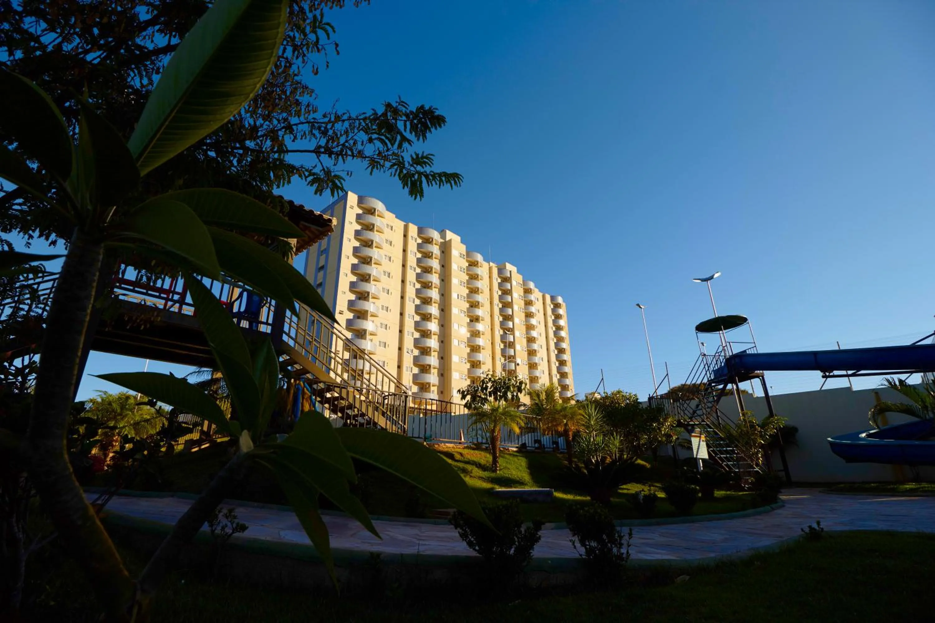 Golden Dolphin Express Oficial