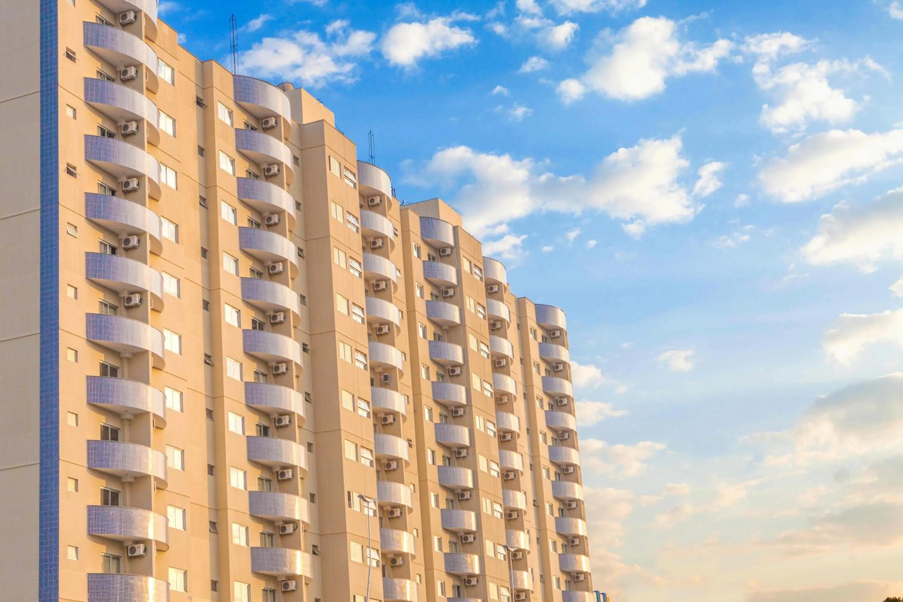 Golden Dolphin Express Oficial