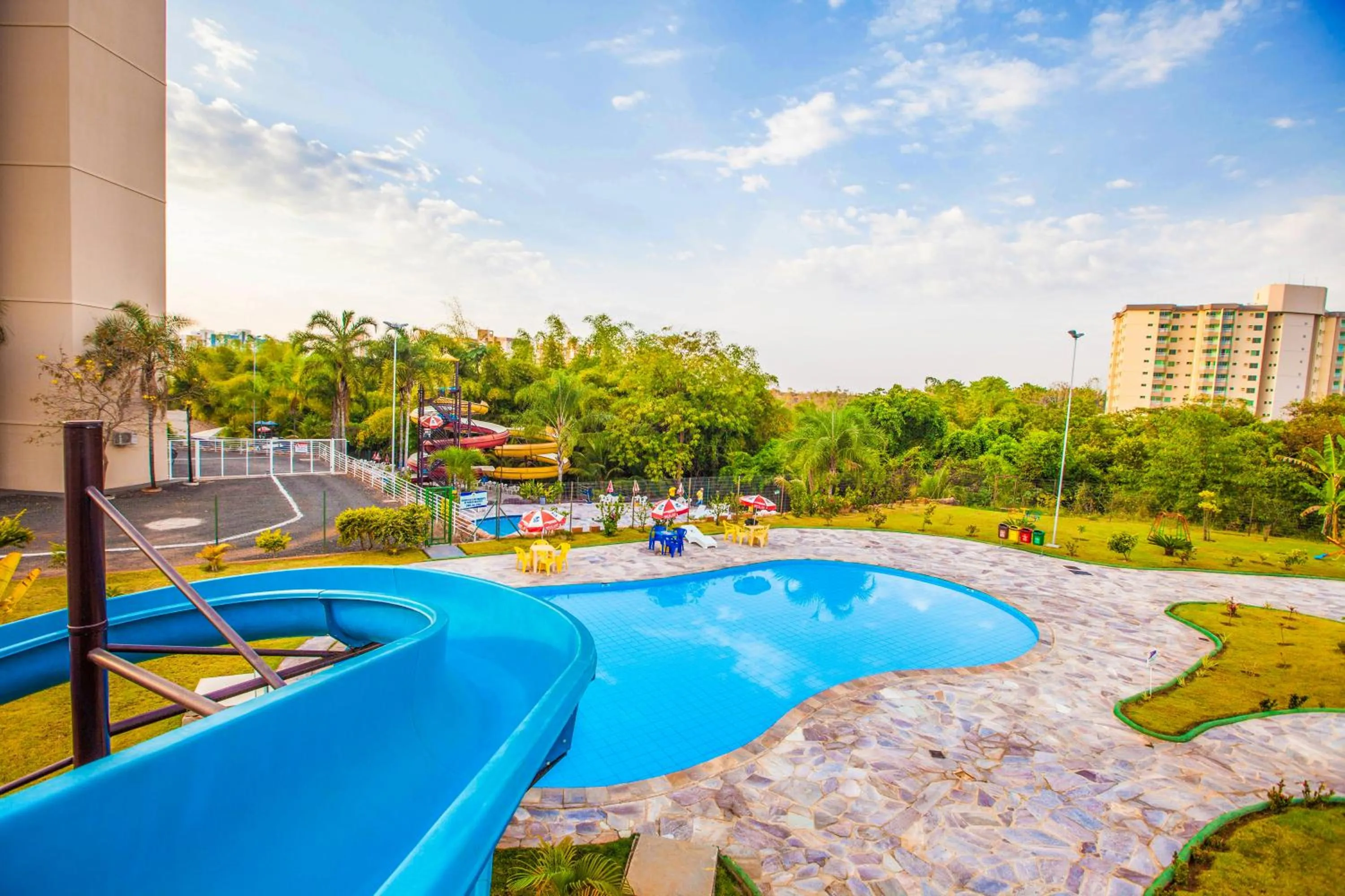 Golden Dolphin Express Oficial