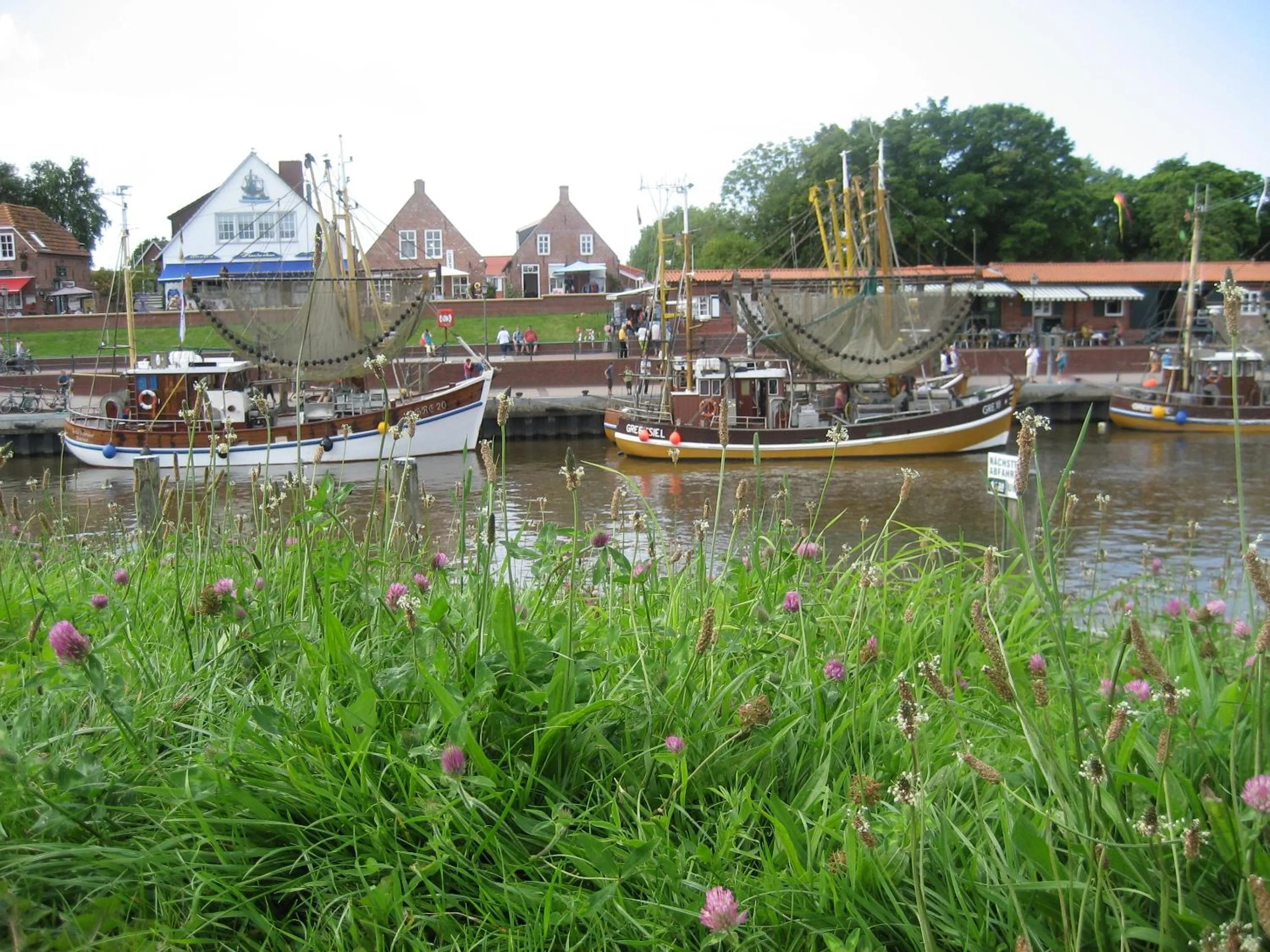 Natural landscape in Ringhotel Residenz Wittmund