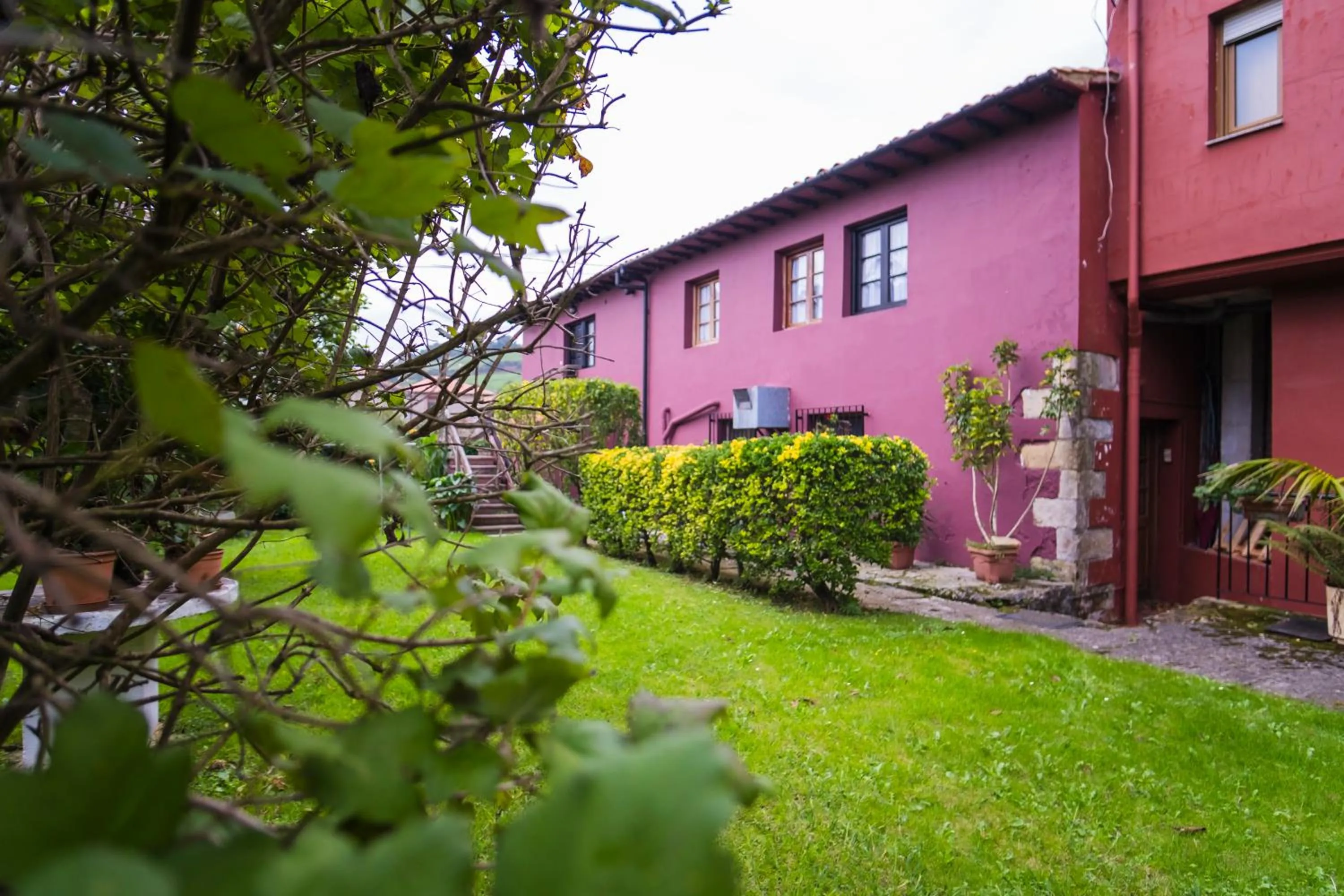 Garden in Hotel Alda Puerto Calderón